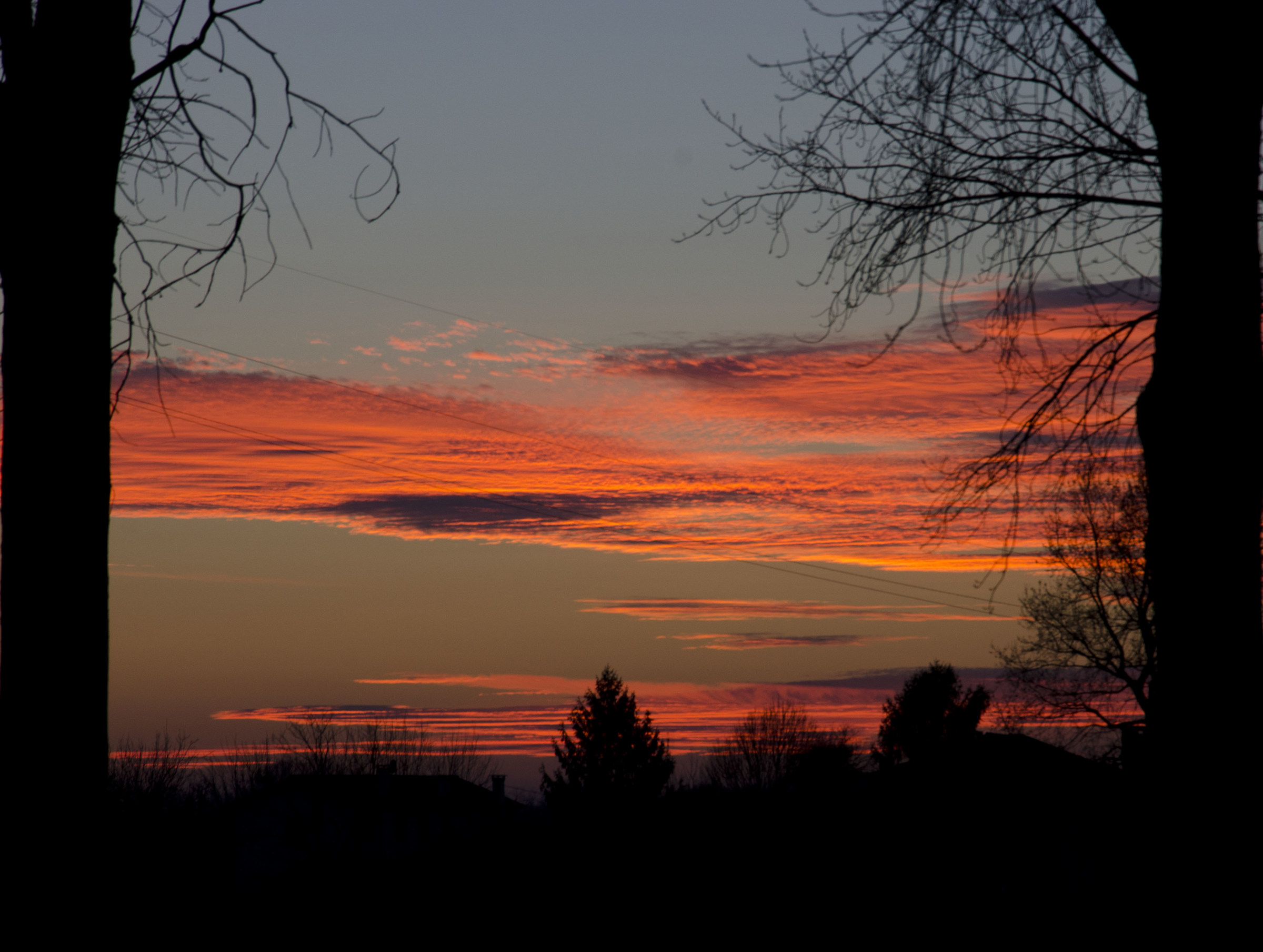 ... e come cornice, gli alberi