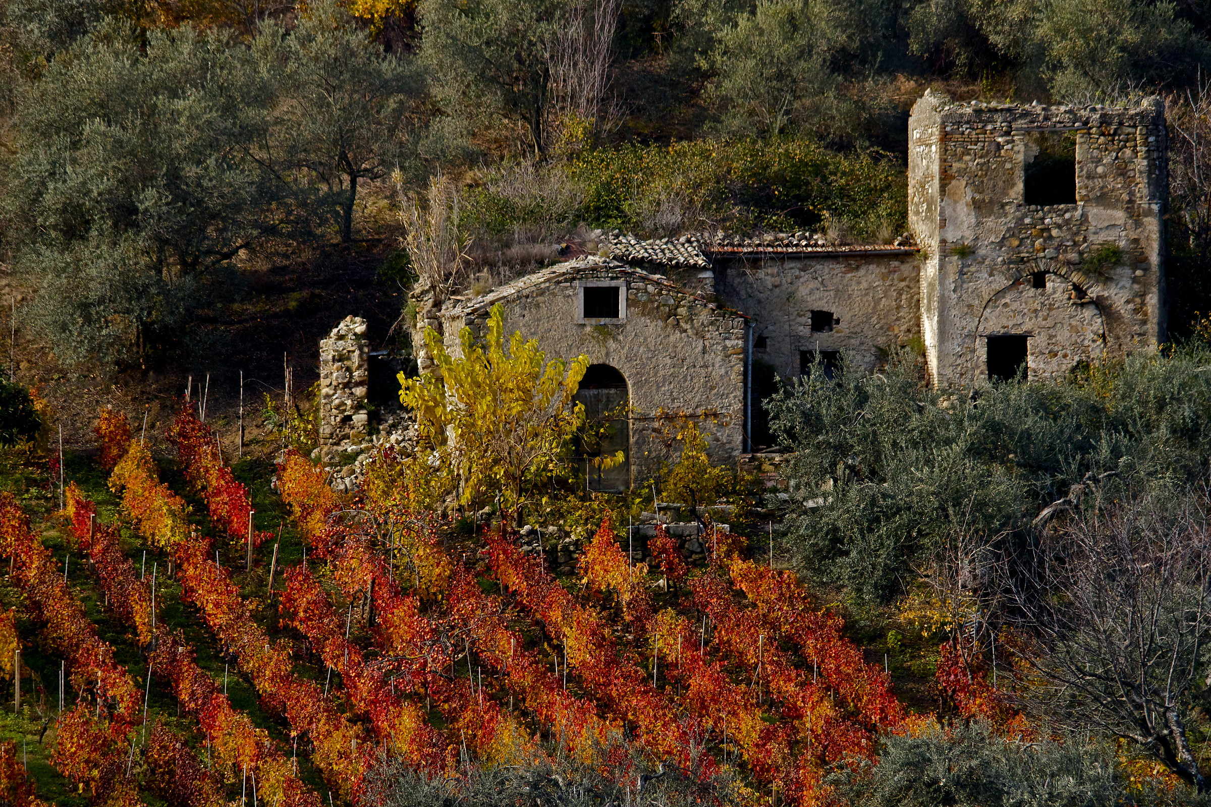 autunno in collina