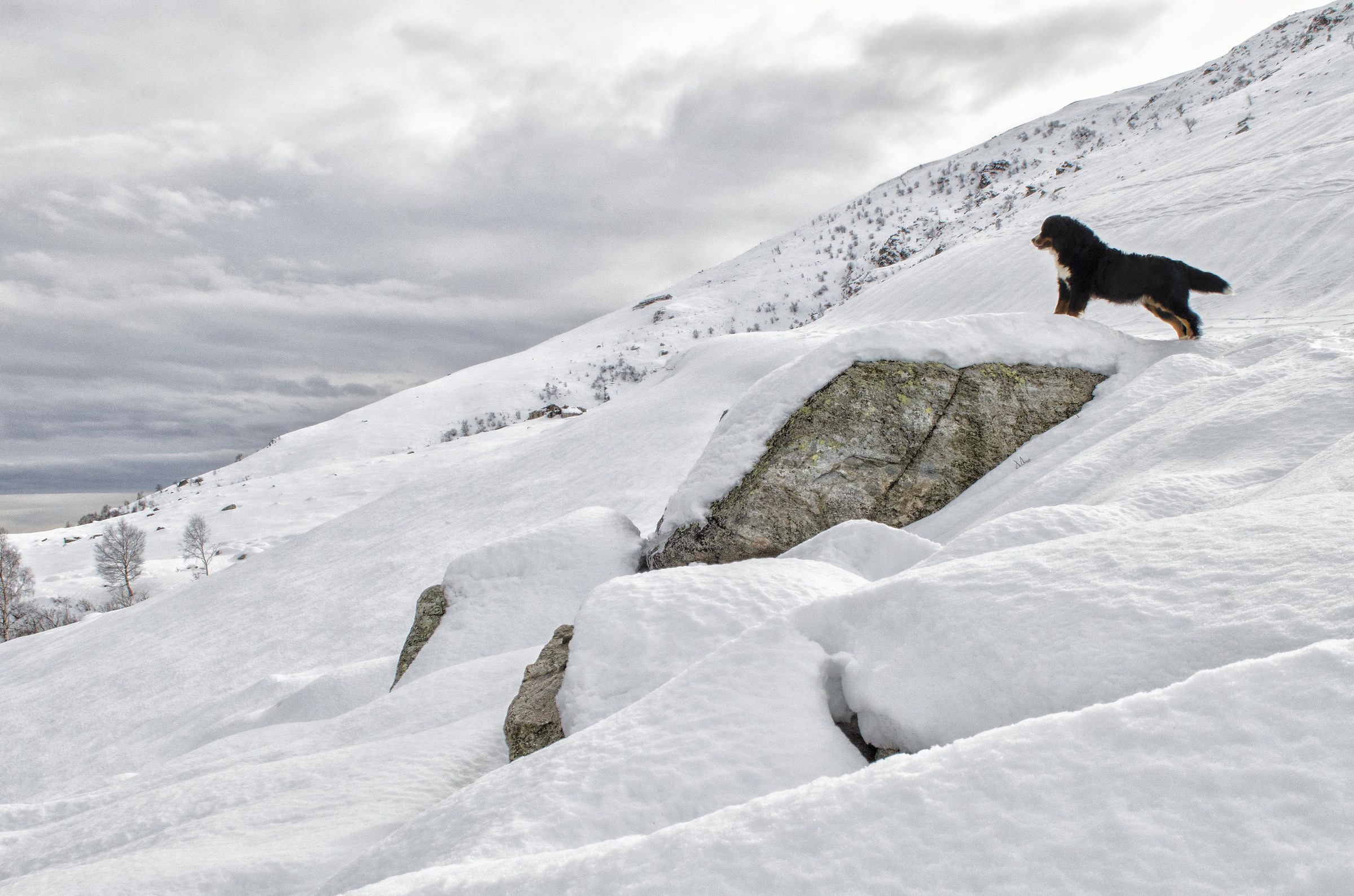 Verso il lago delle Bose