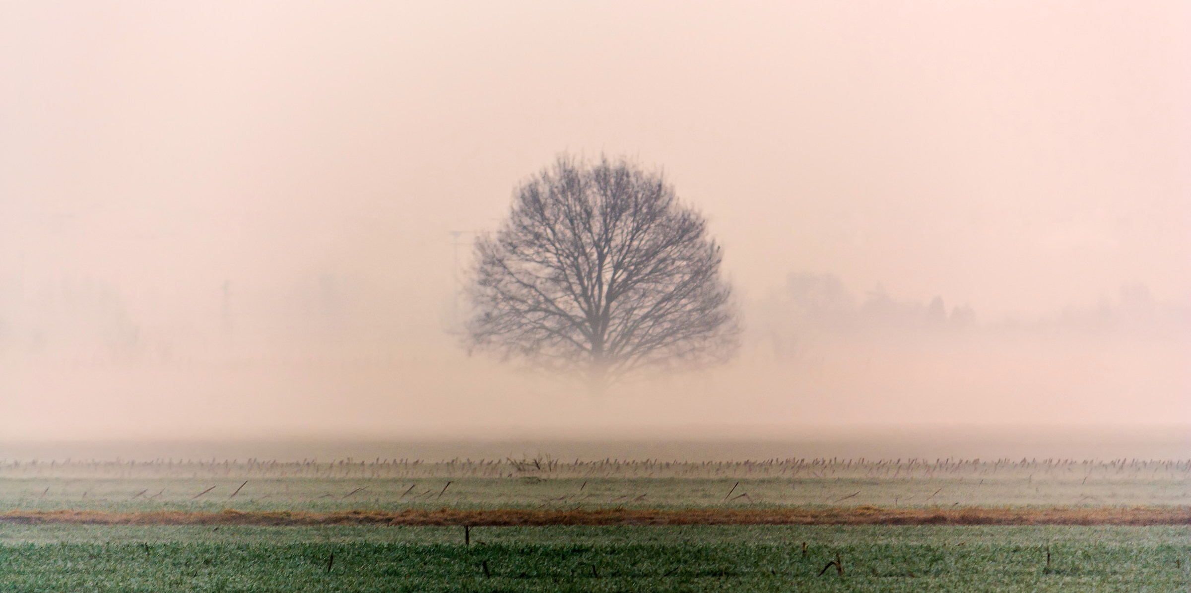 carpi - foggy day