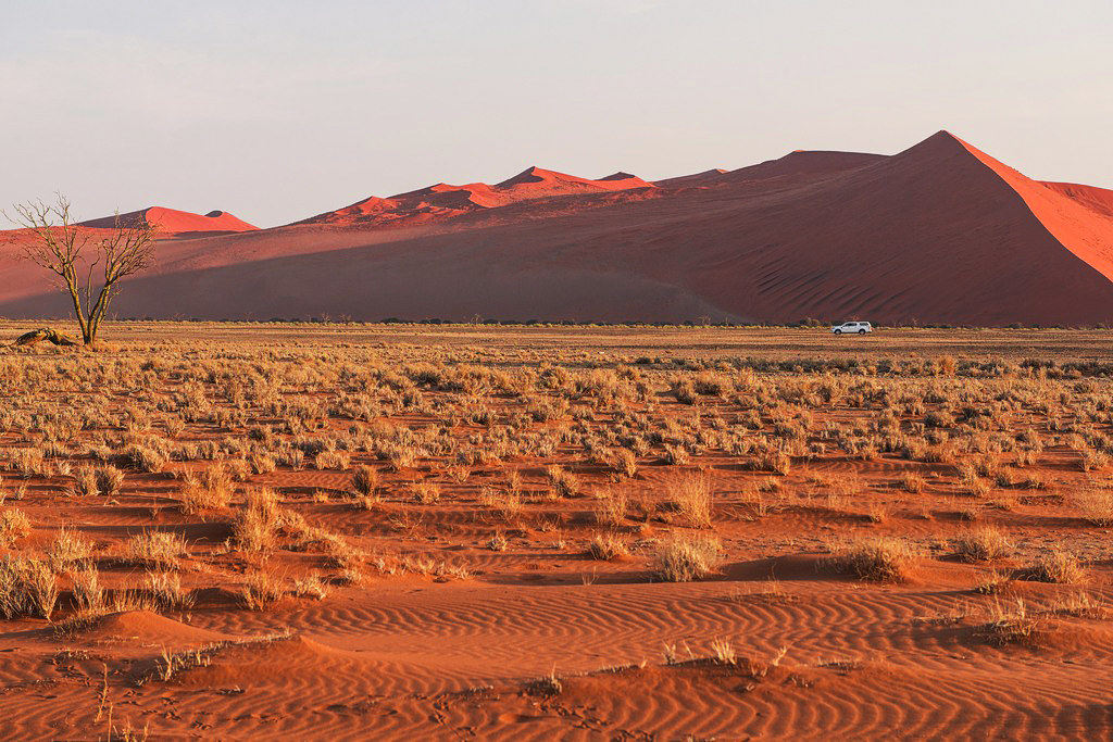 Namib desert