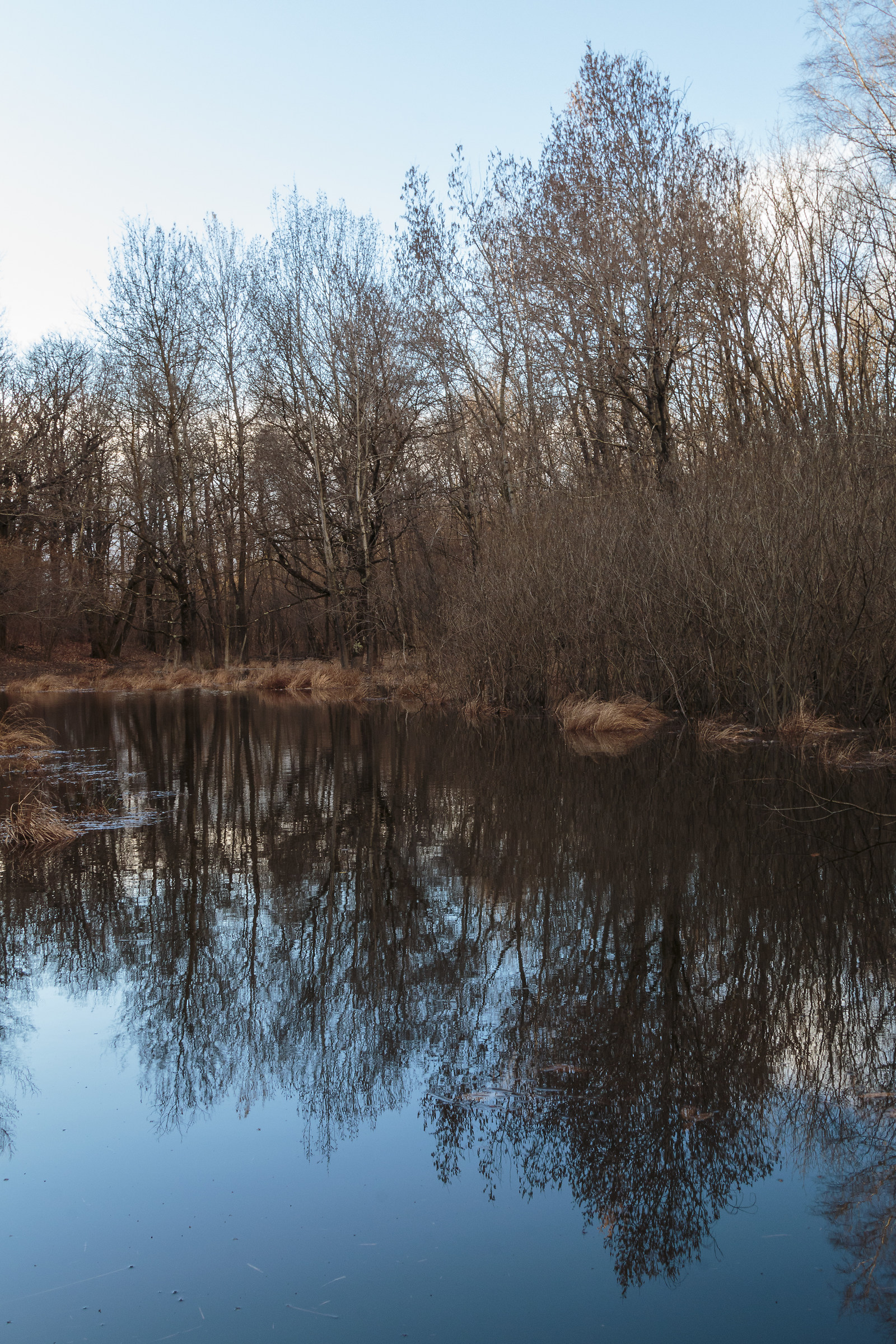 Motta pond Golden-Park Campo dei Fiori