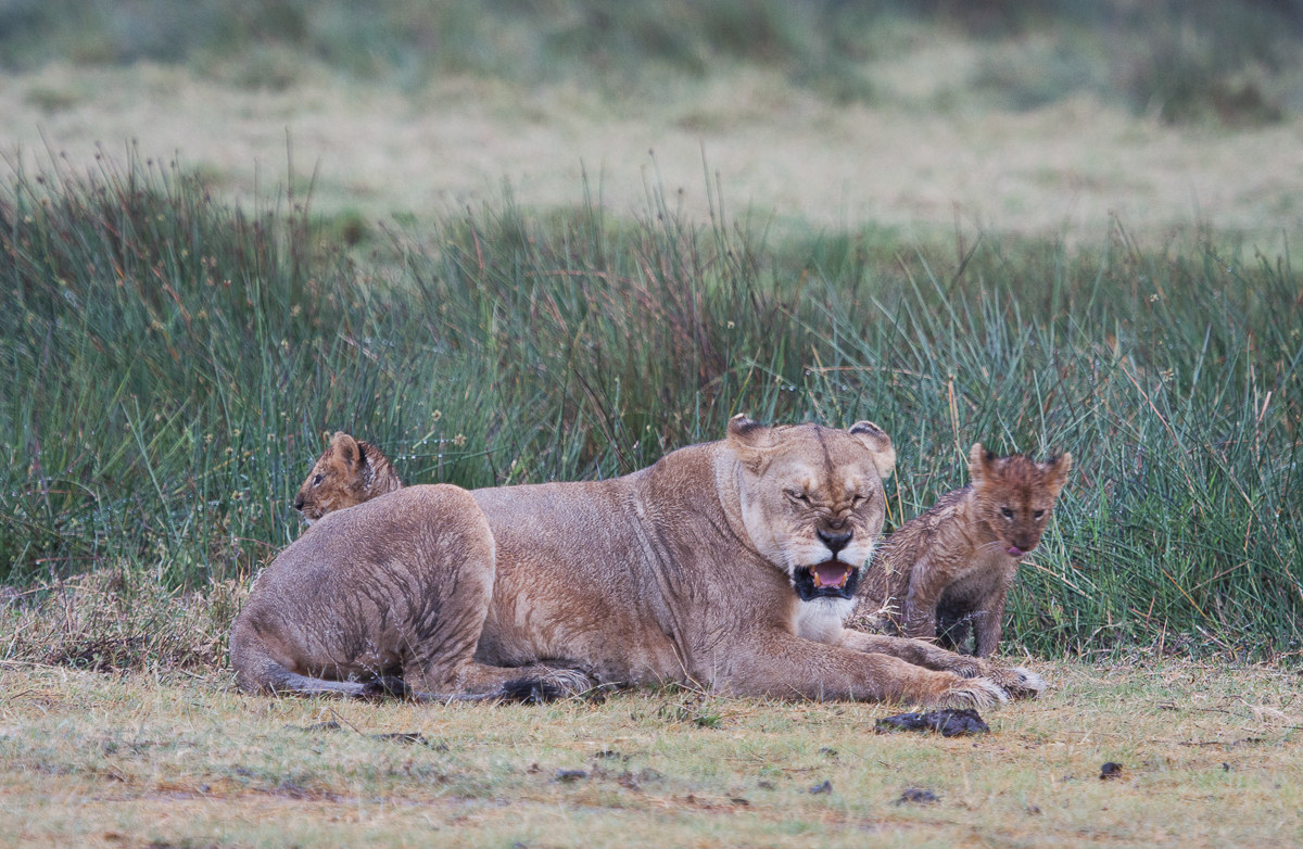 Try moving closer ....