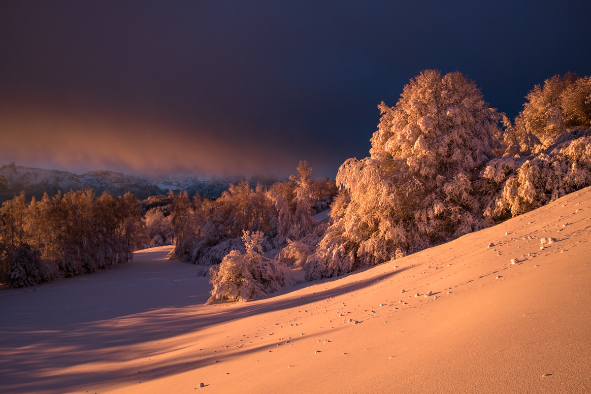 Spettatori affascinati...