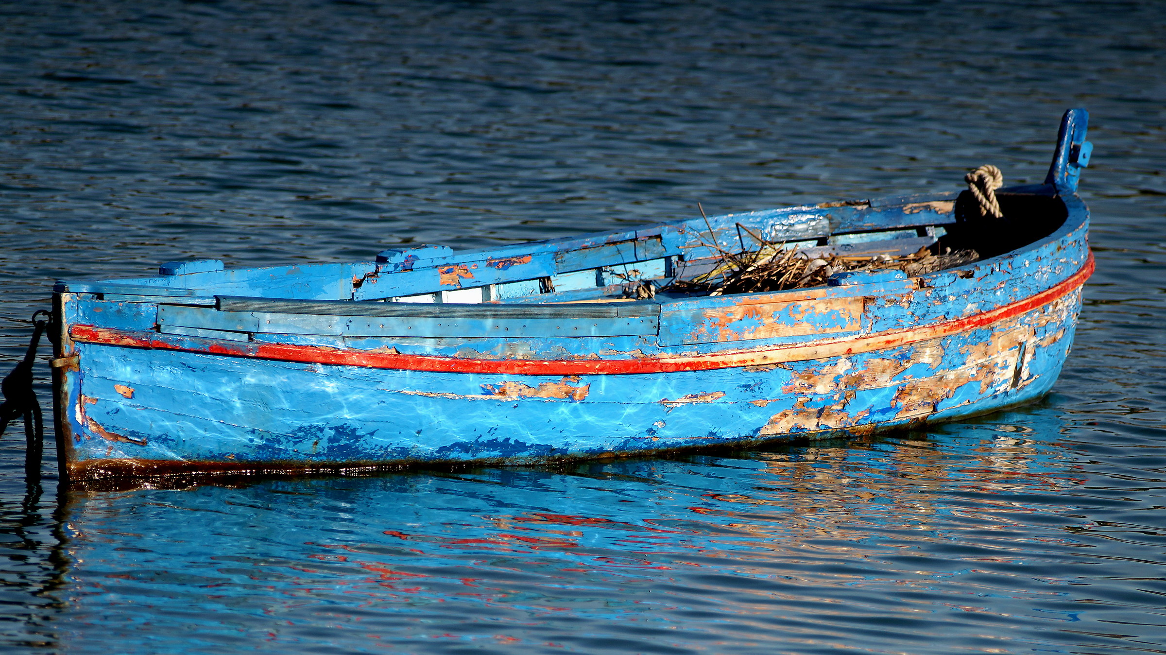 Nel blu dipinta di blu