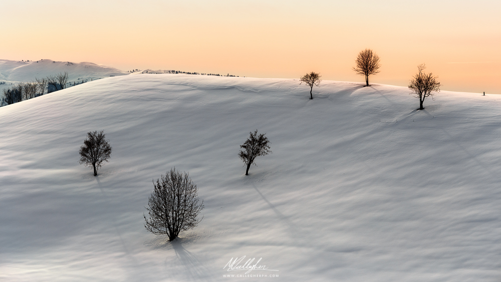 Sant'Anna si veste di bianco