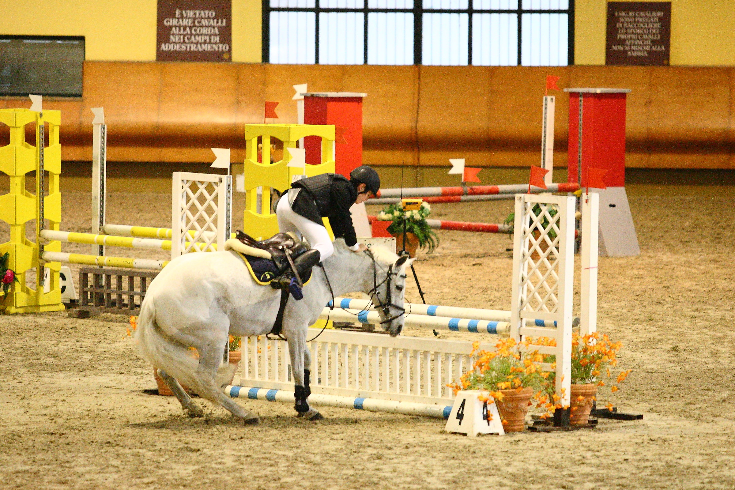 Nessuna voglia di saltare