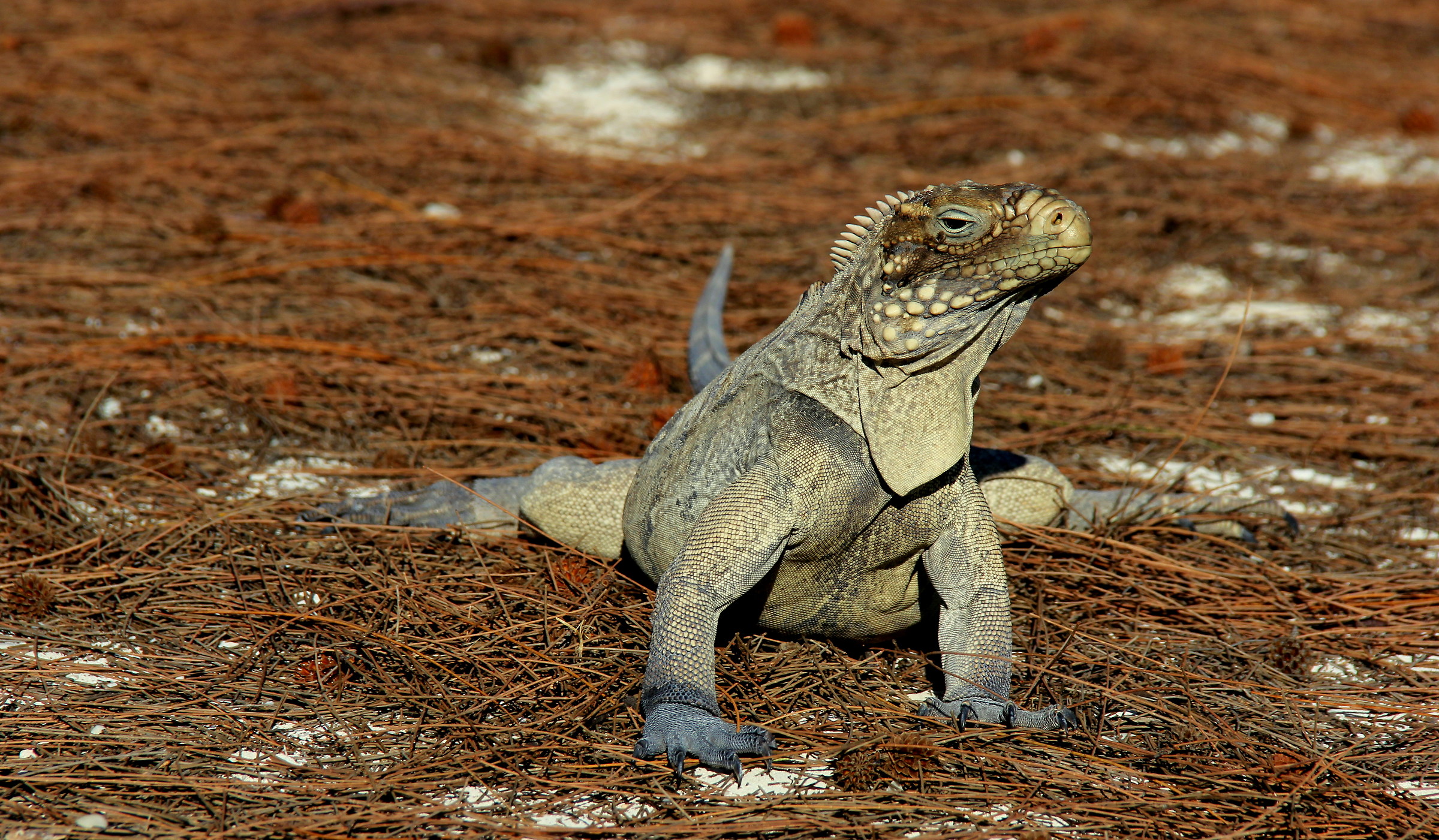A beautiful girl who has left photograph