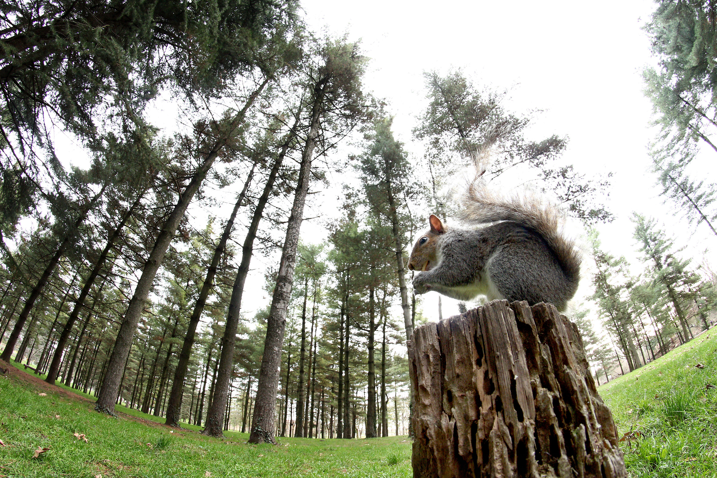 Sereno nel mio fantastico mondo immenso