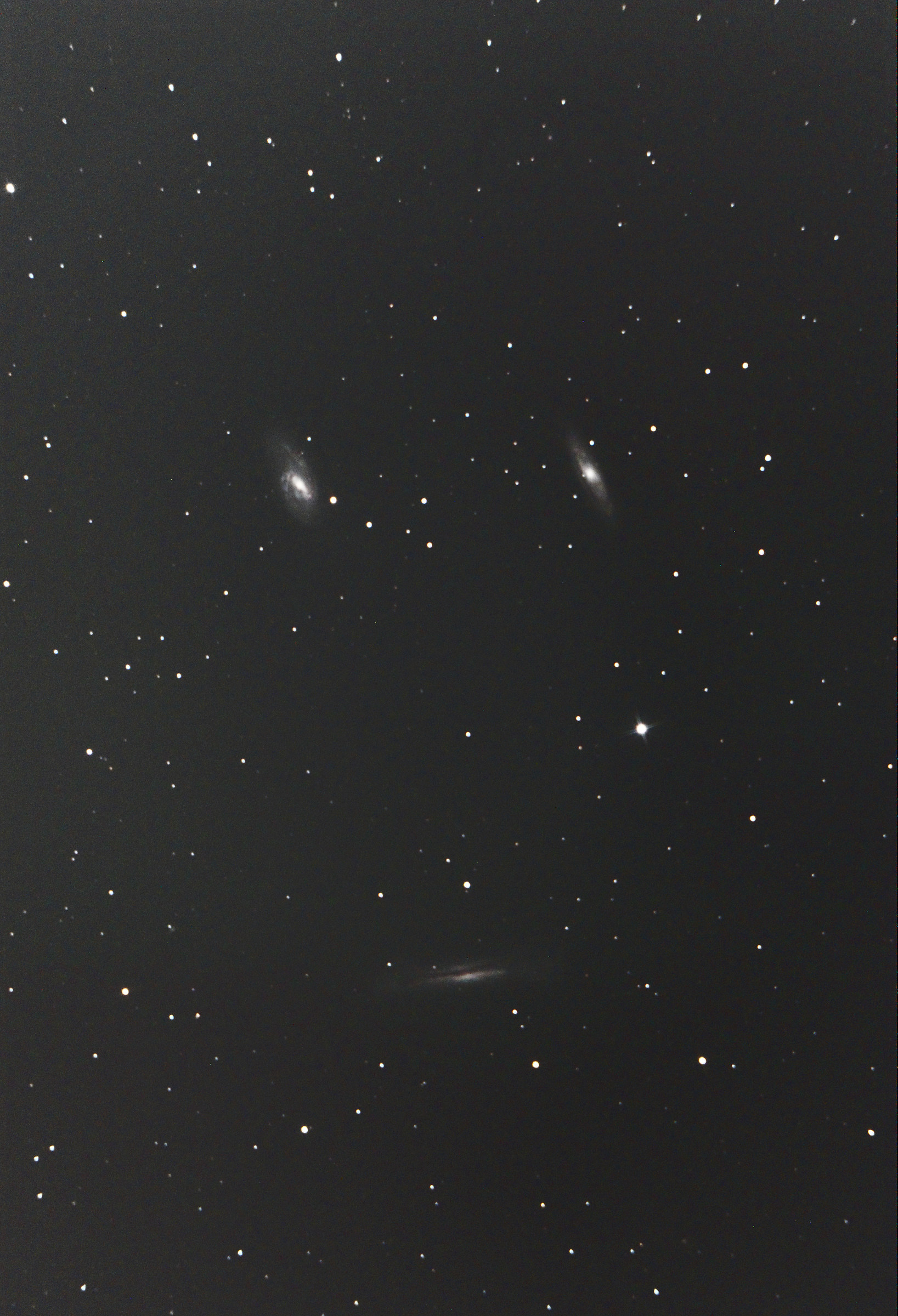 galassie m65m66 e ngc3628