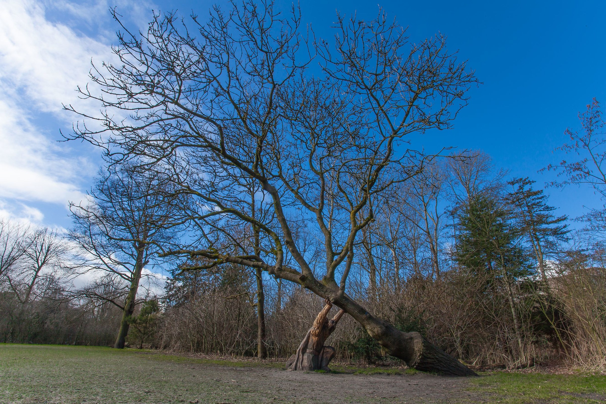 Amsterdam - legno intarsiato