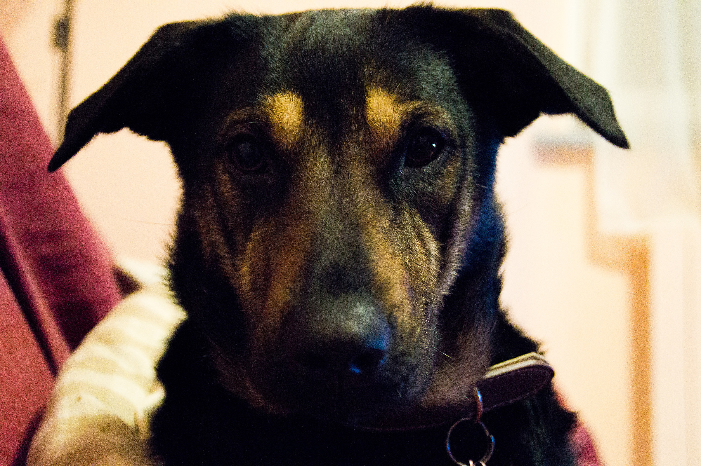 Vi presento la mia Astra