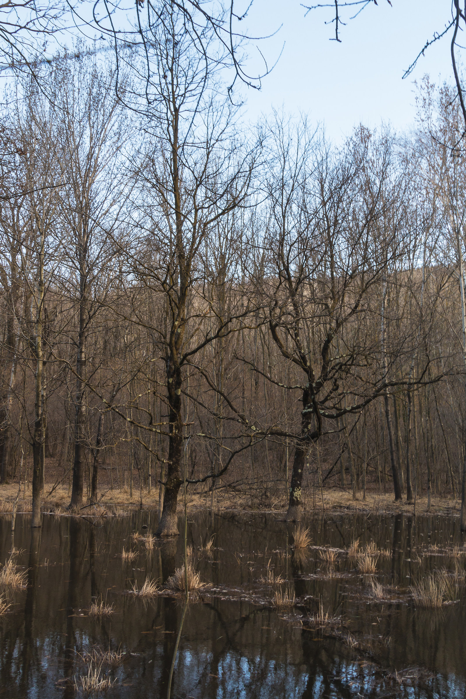 Motta pond Golden-Park Campo dei Fiori