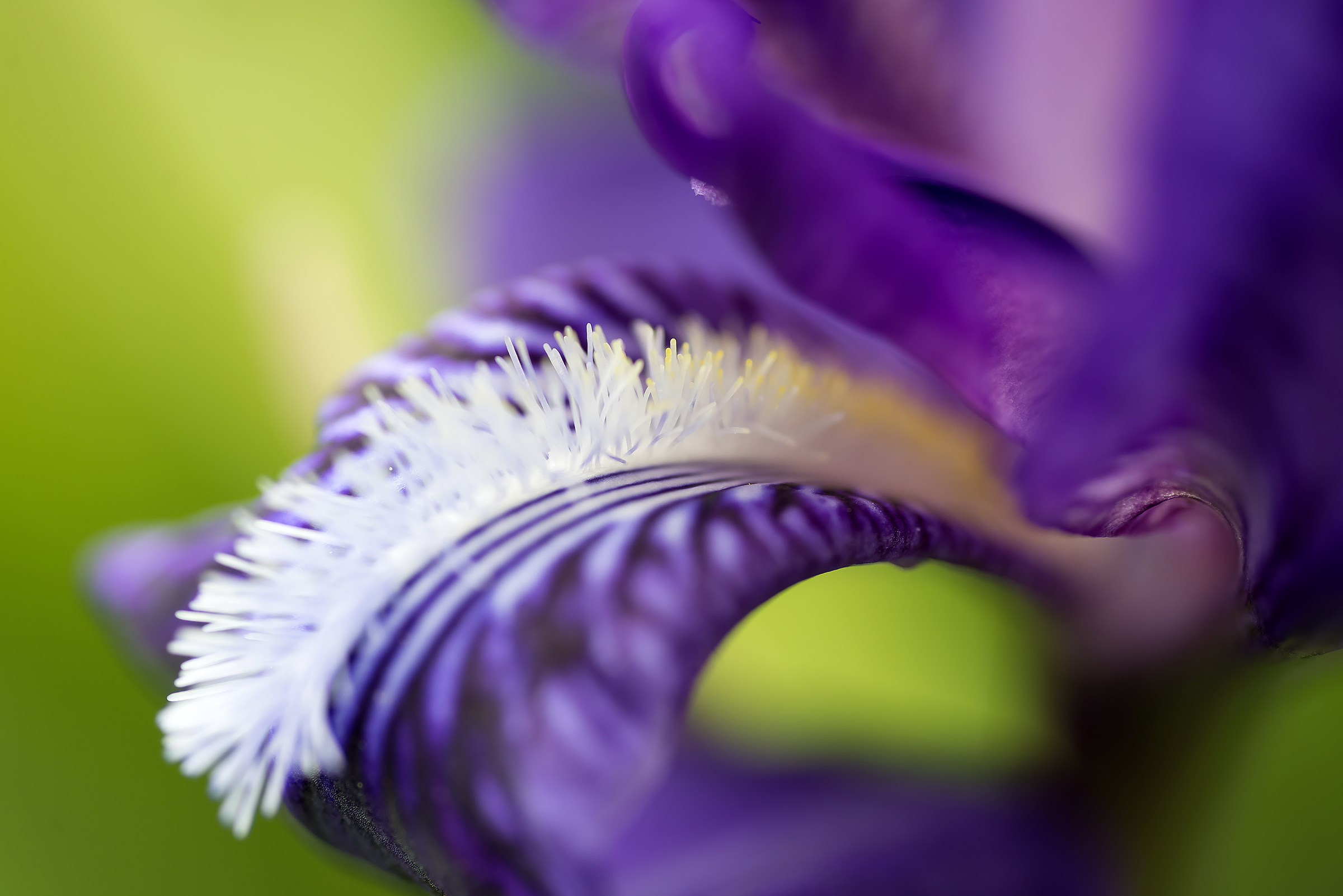 The beauty is to find the details.