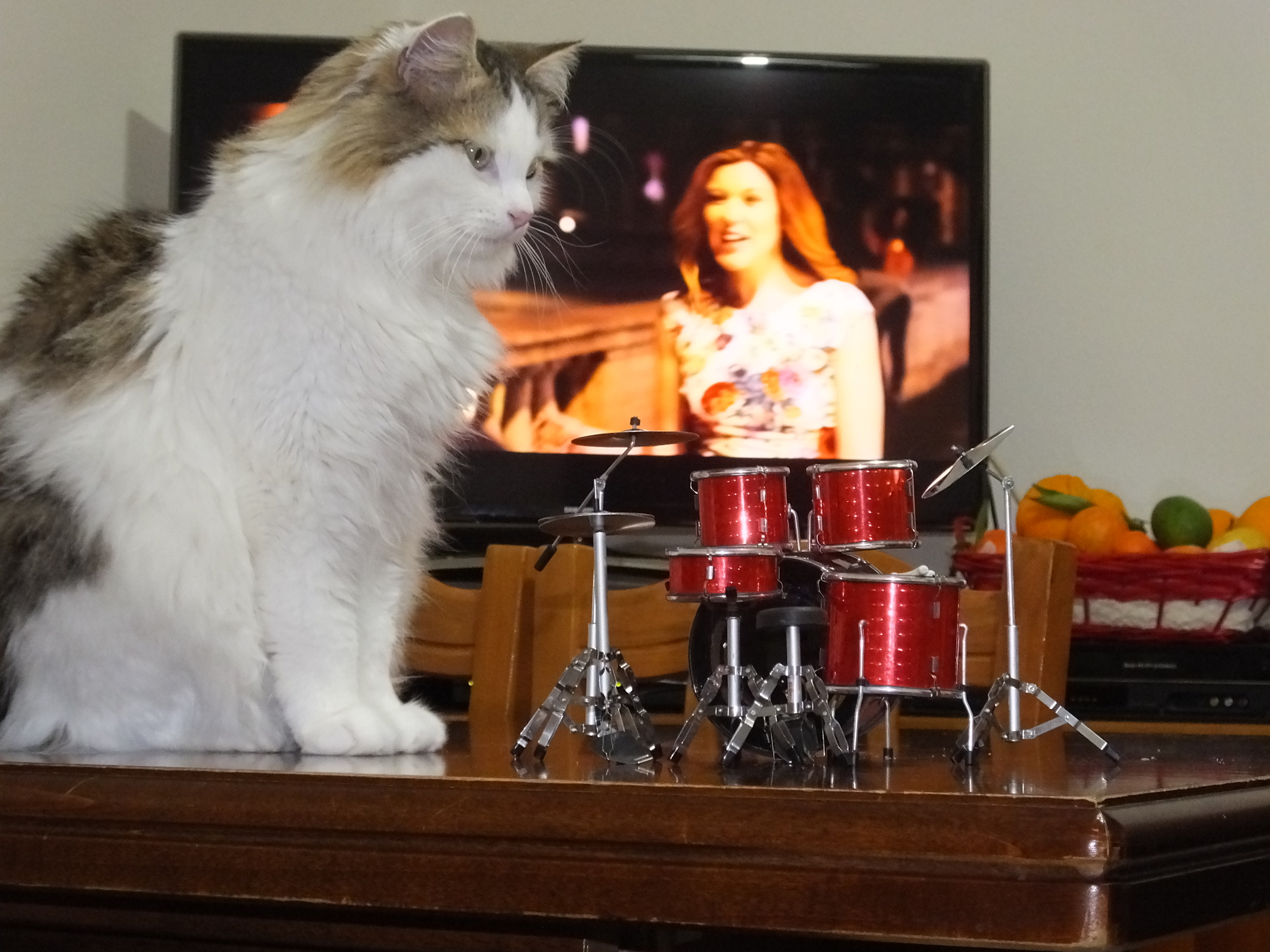 Gilberto and battery