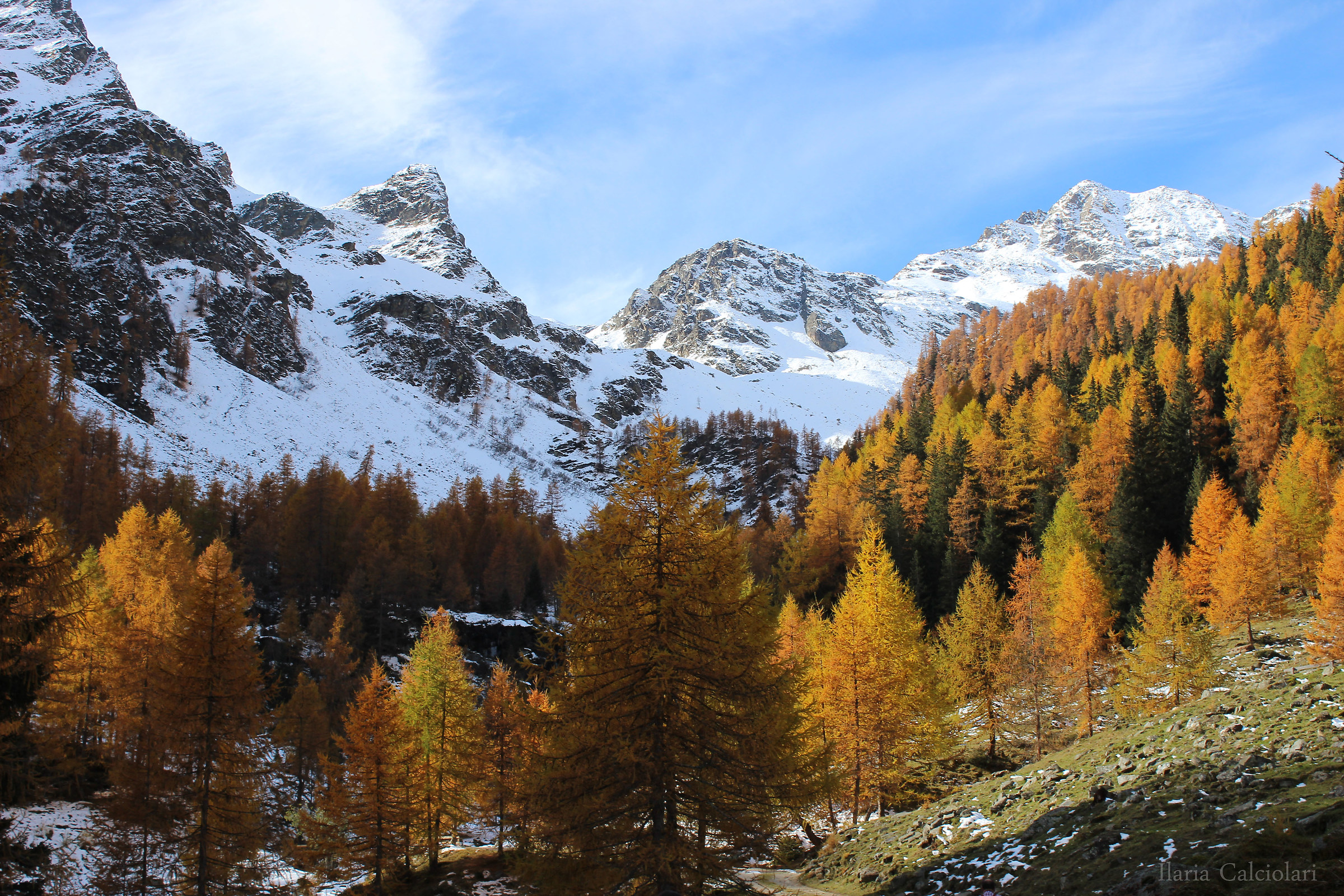 Glimpses into the valley