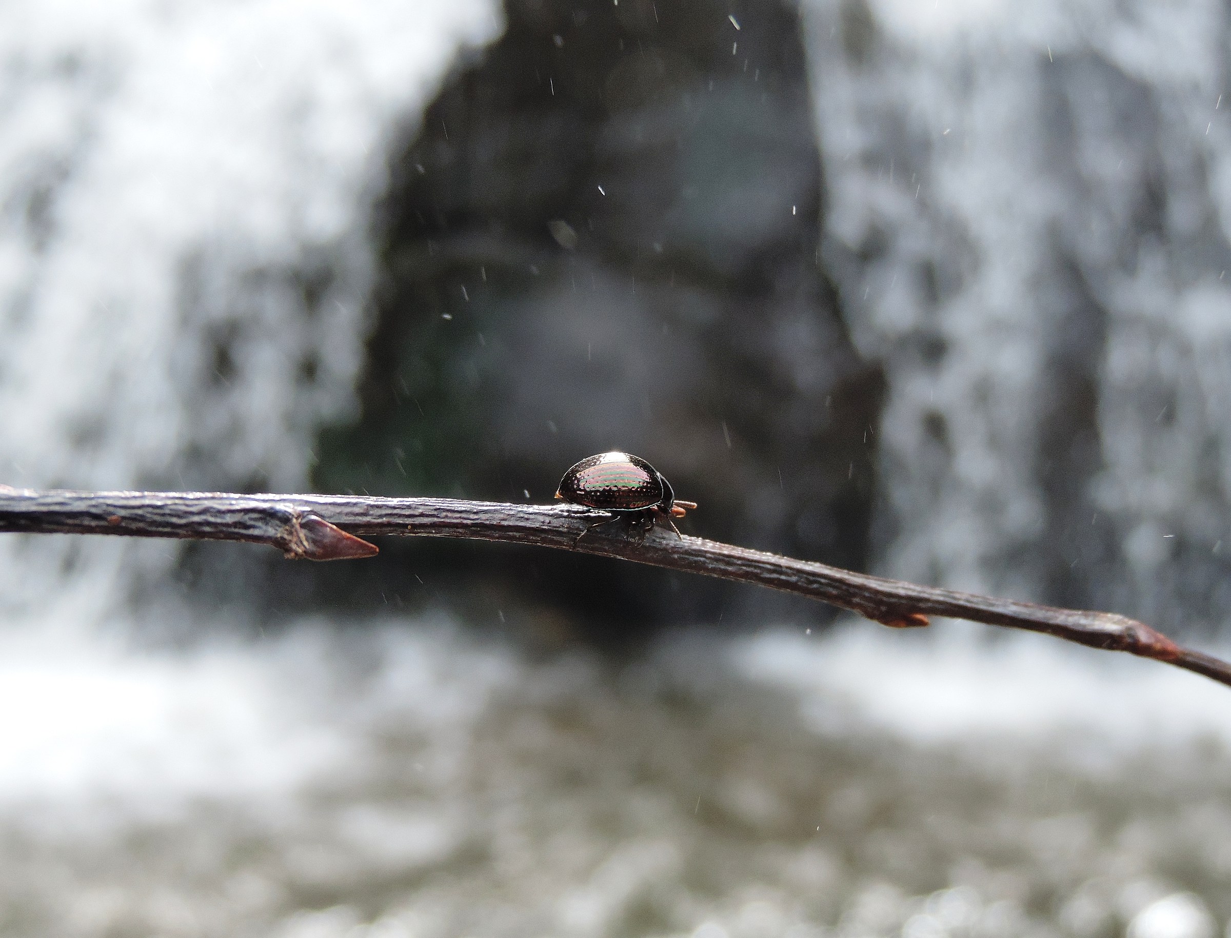 Una delle cascate del Doi Inthanon, Thailandia