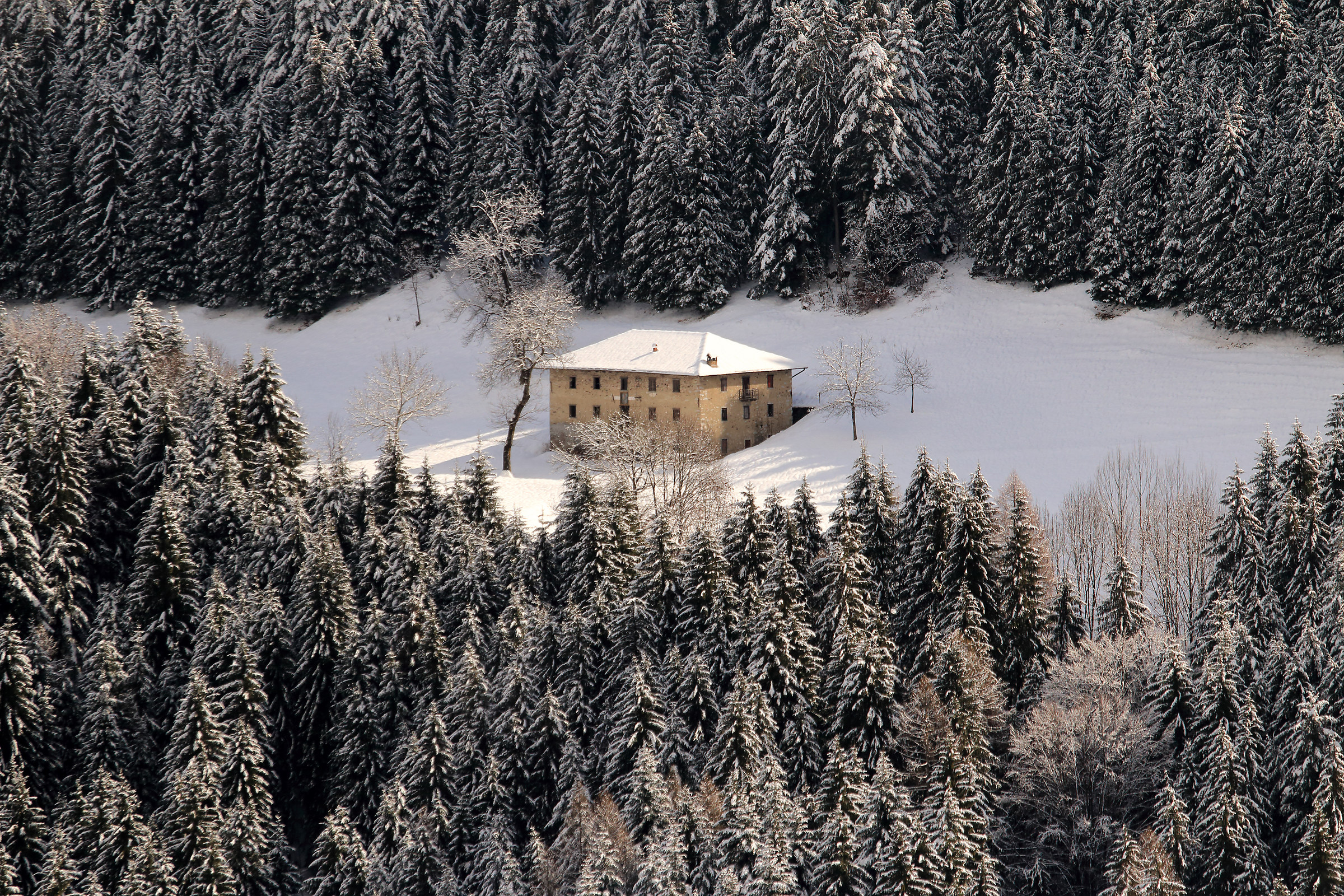 beautifully ... out of hand