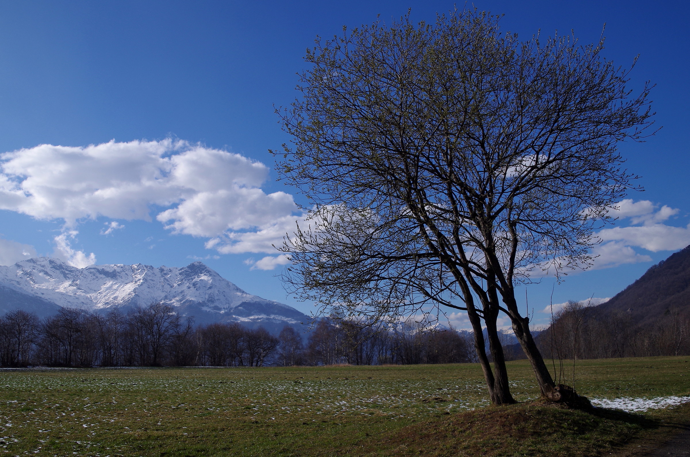 ... Waiting for the spring