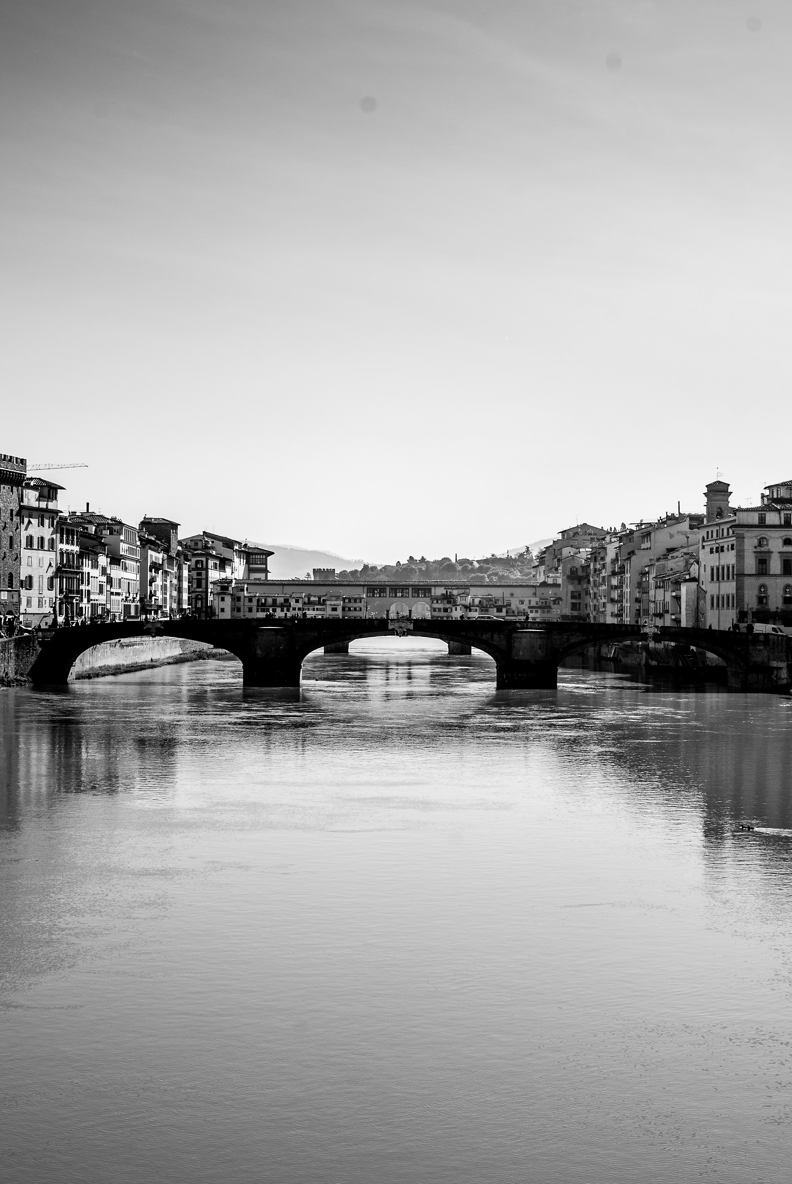 Ponte alla Carraia