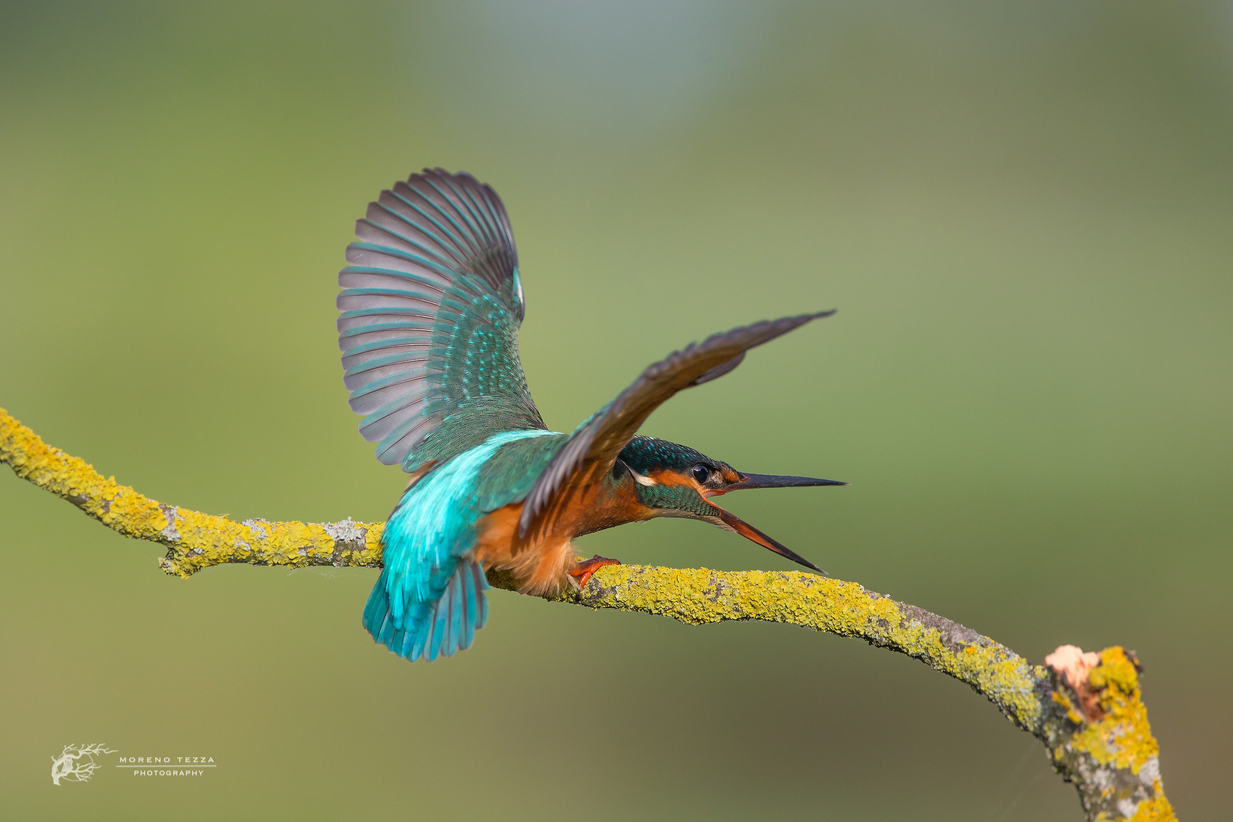 Martina ........... very angry