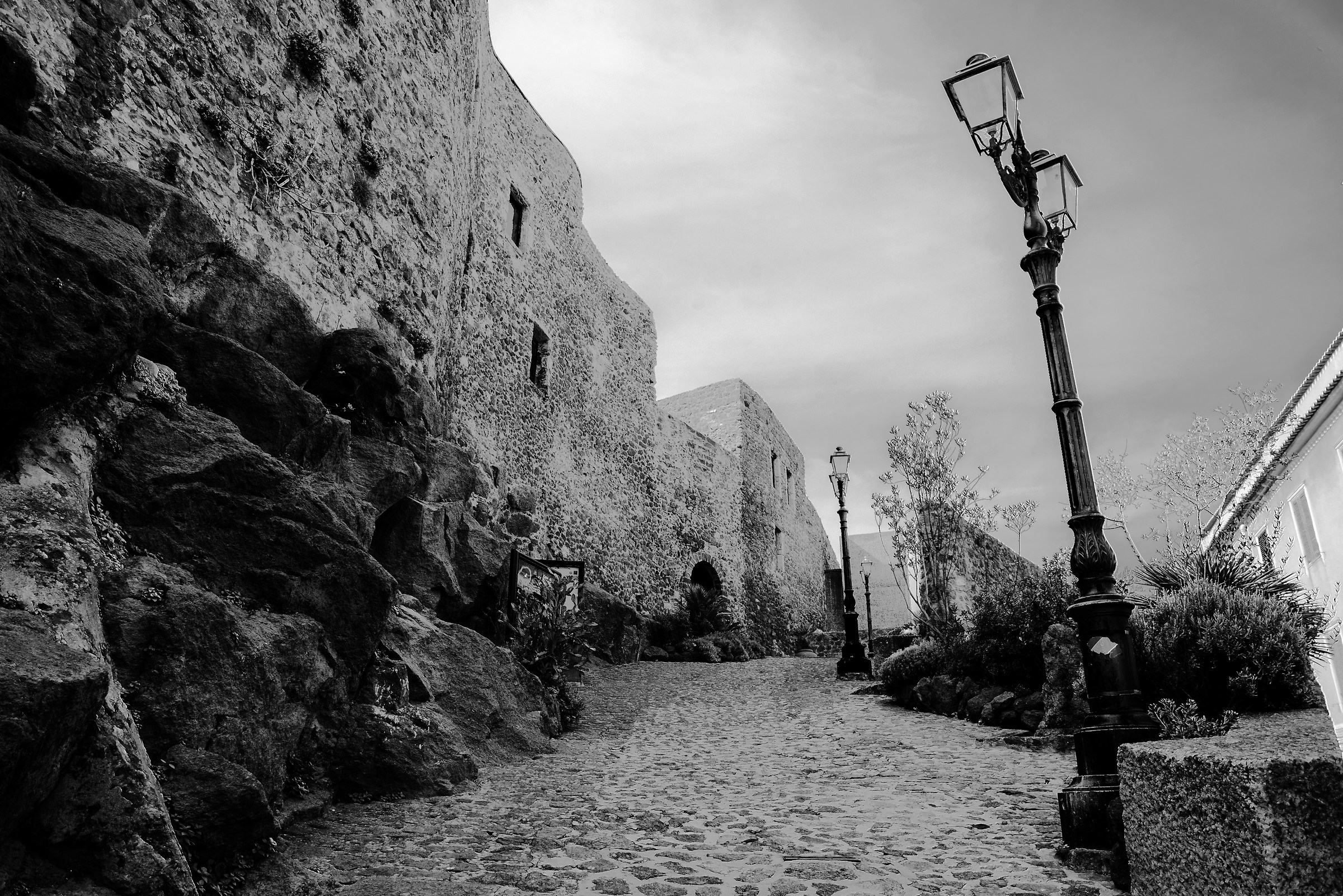 Lacking in color but rich in emotions.