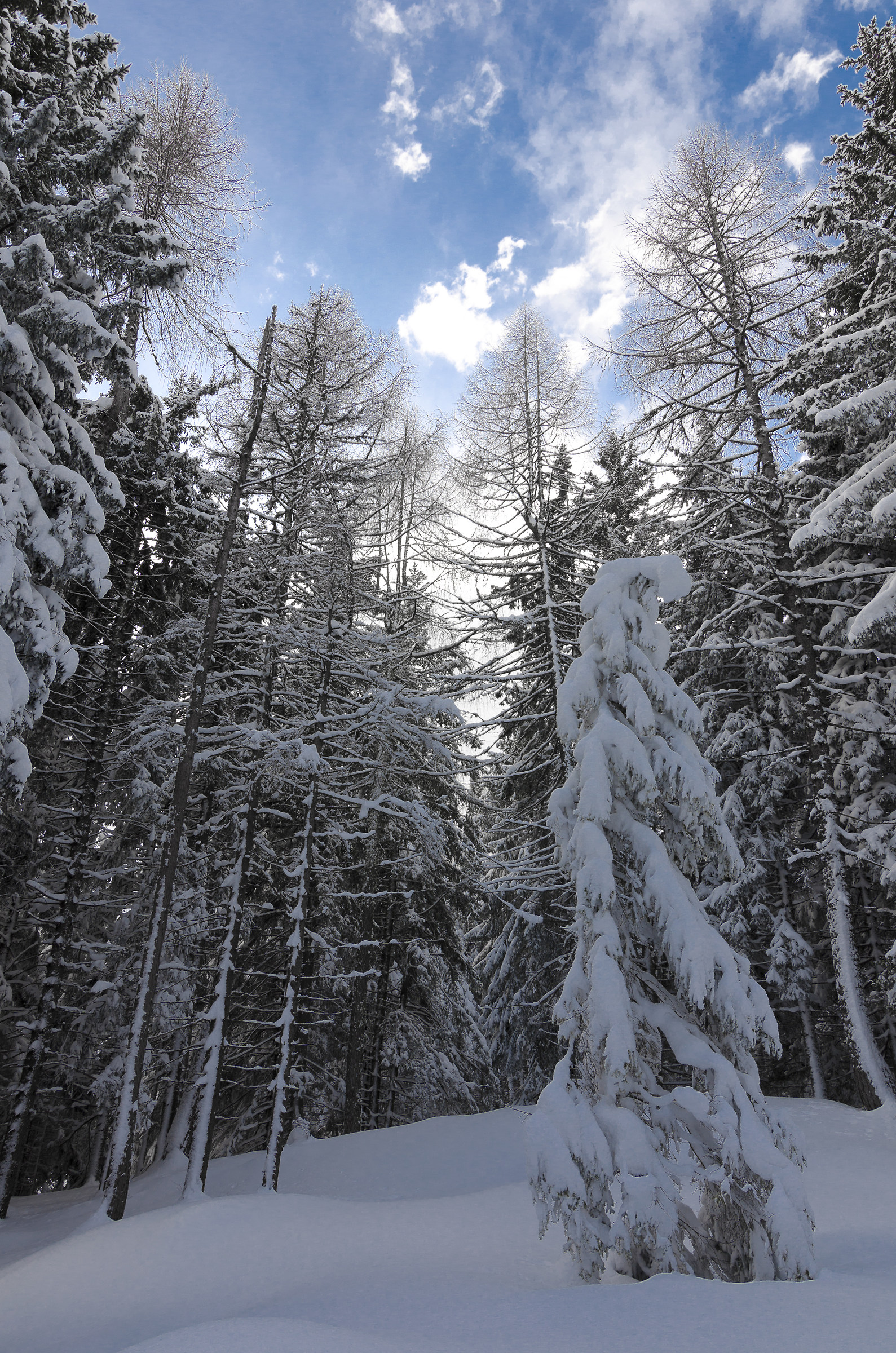 Inchino a Teatro - Bow in Theater
