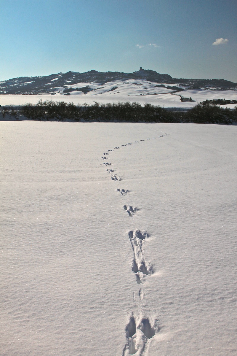 Valdorcia footprints in the snow