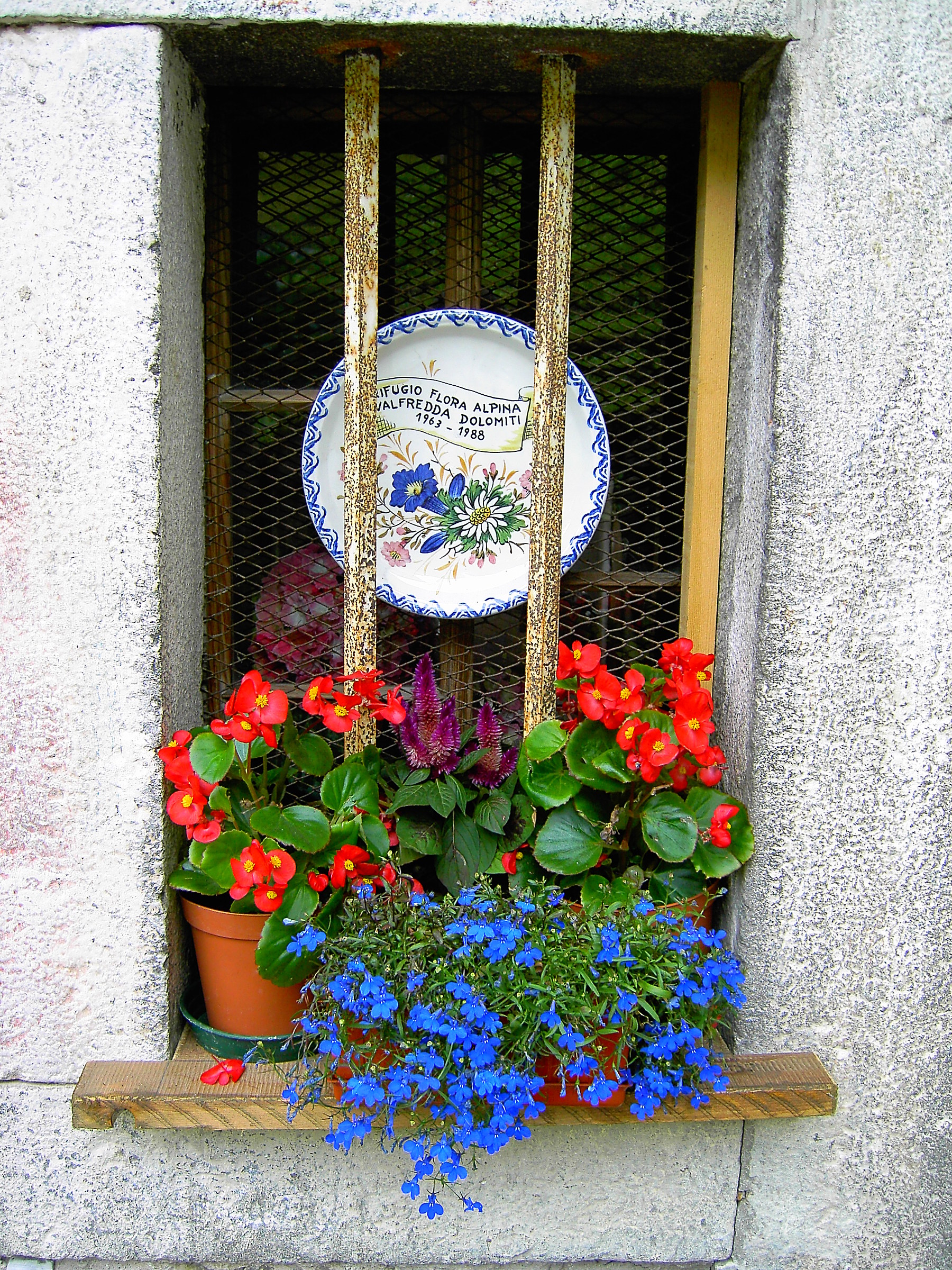 Even flowers and windows