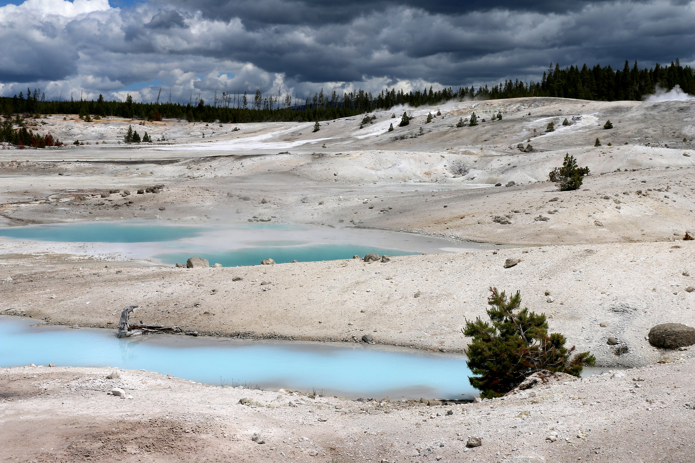 Yellowstone NP - Wyoming