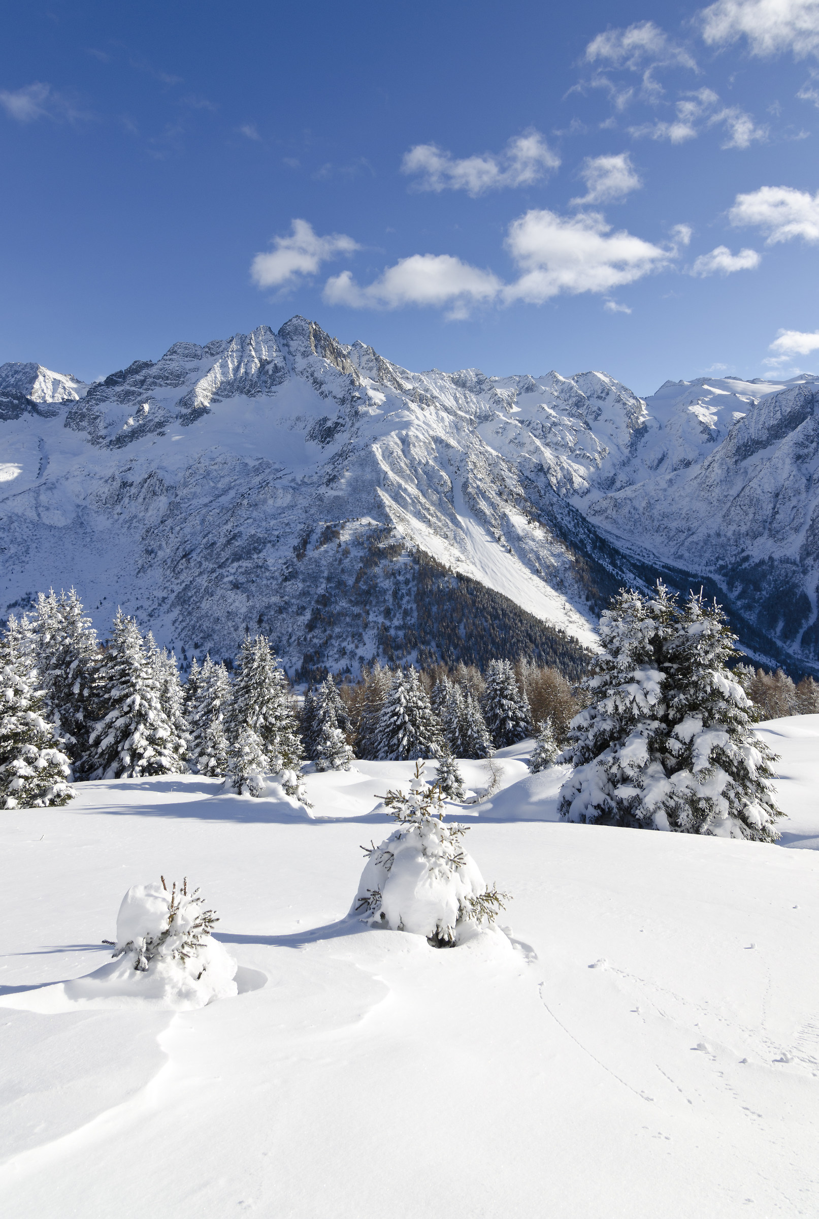 Paradiso Bianco - White Paradise