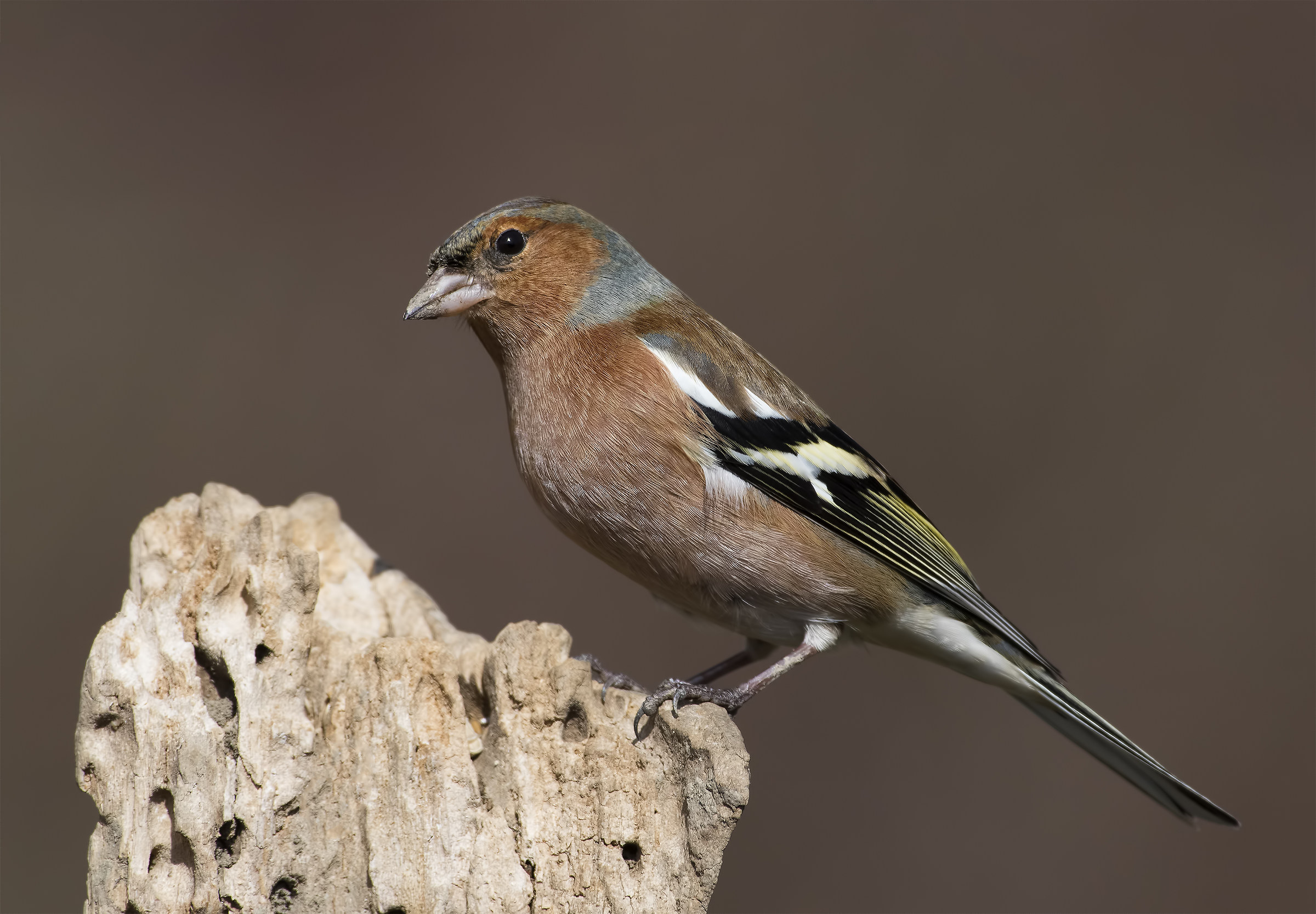 Seen as they are aware of?