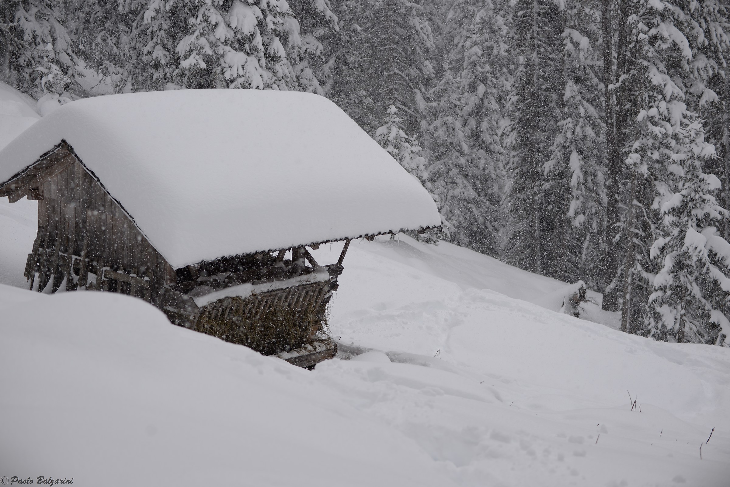 Manger in the mountains shrouded in snow.