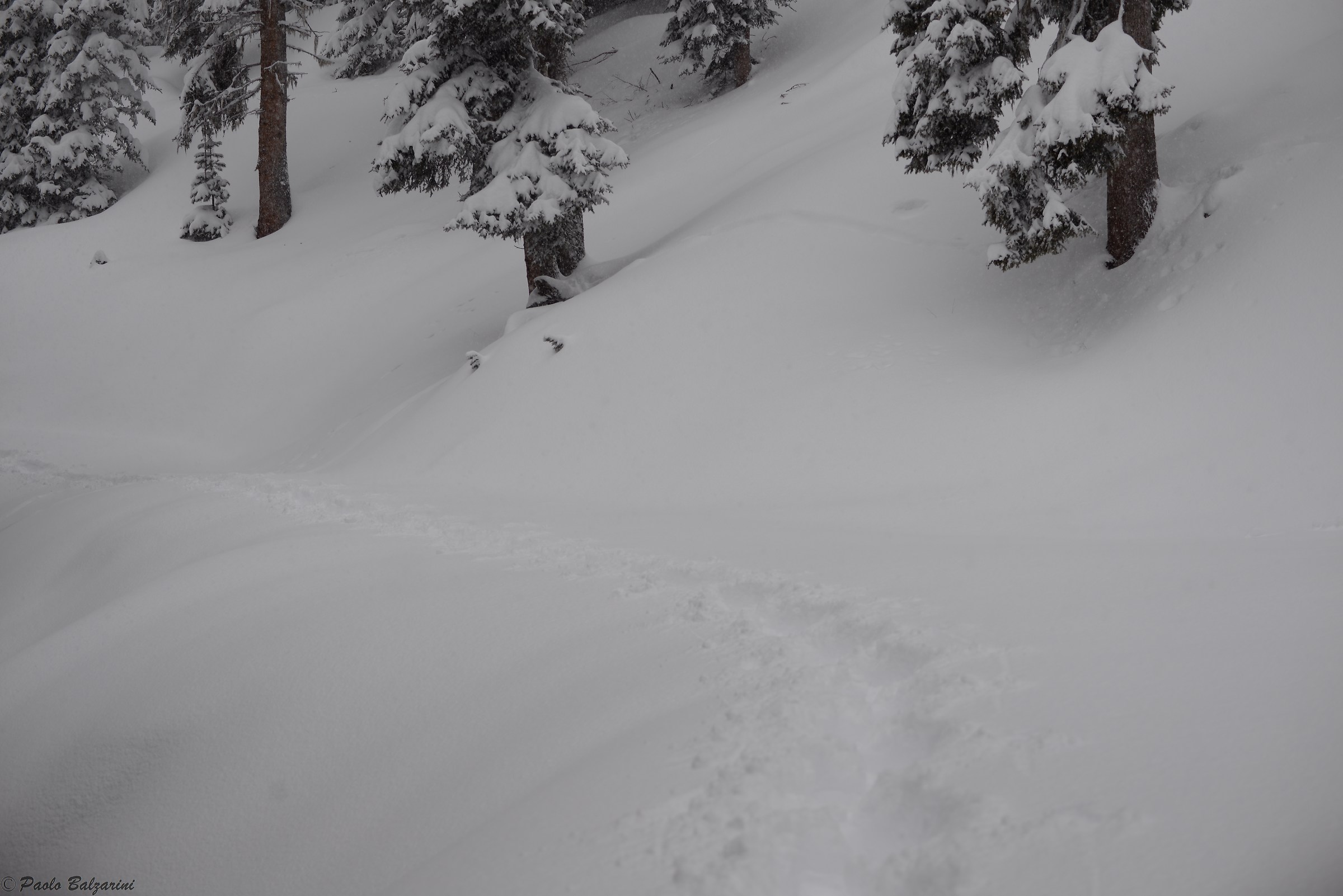 Leaving behind the thoughts and enjoy nature.