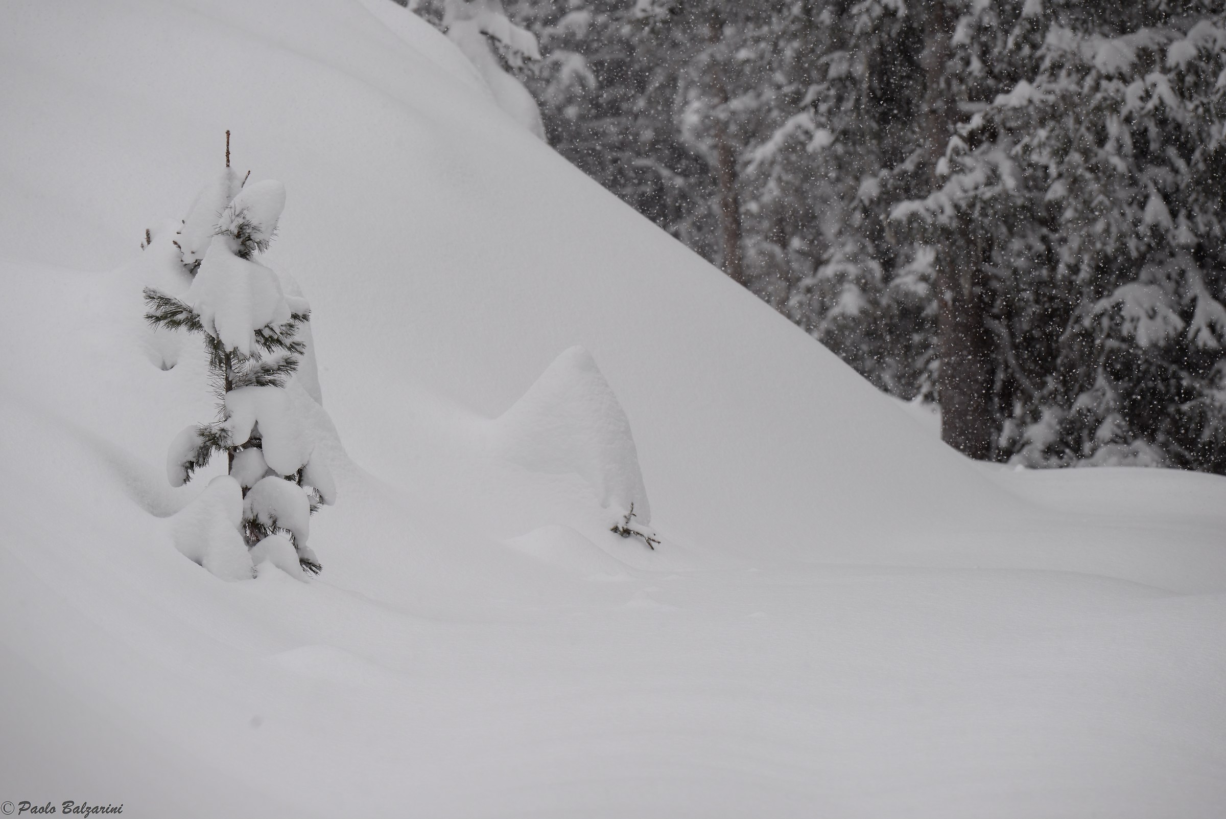 The snow falls abundant.