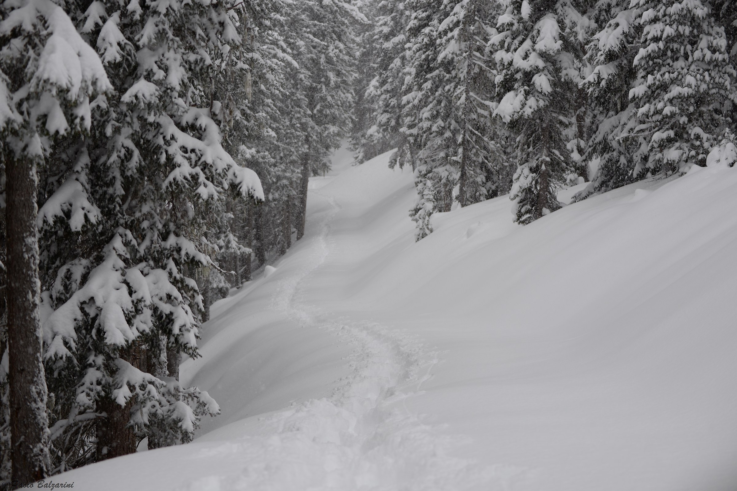 With the fatigue snowshoes it makes the track in the snow.