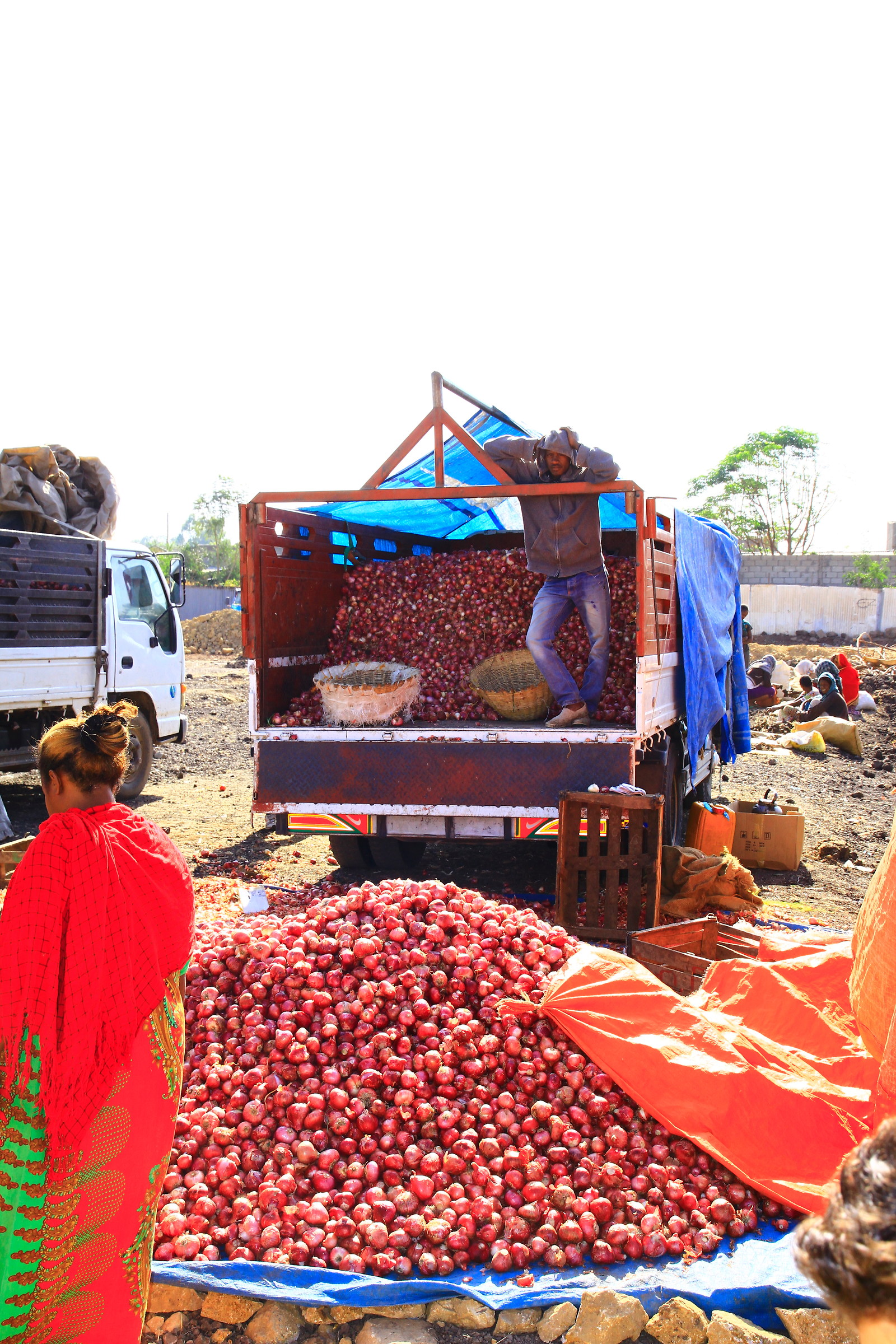 onions at the market
