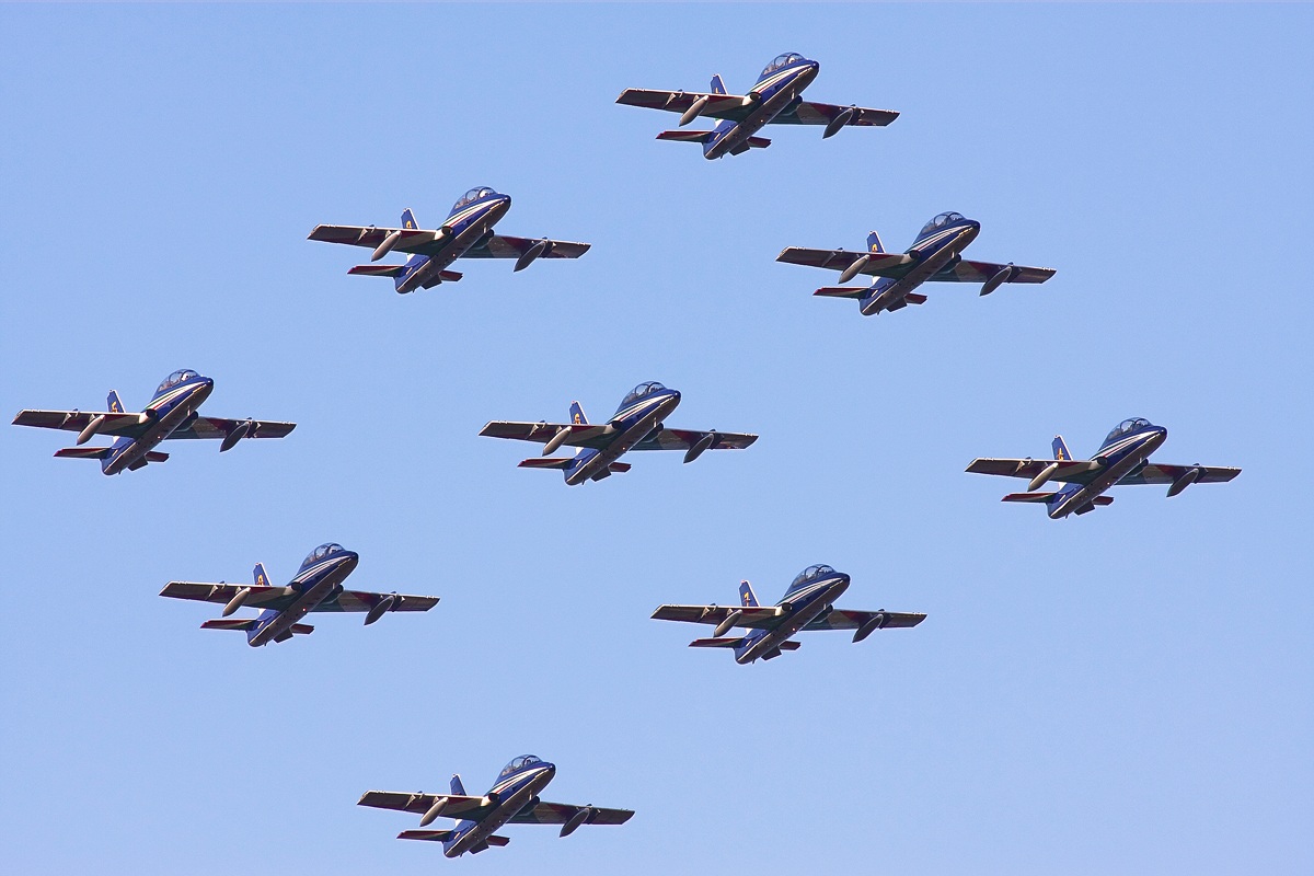 Rhombic (Arrows tricolor)