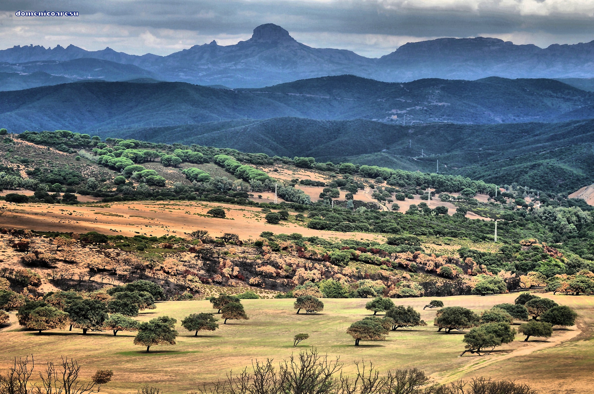 Sardegna la mia Terra