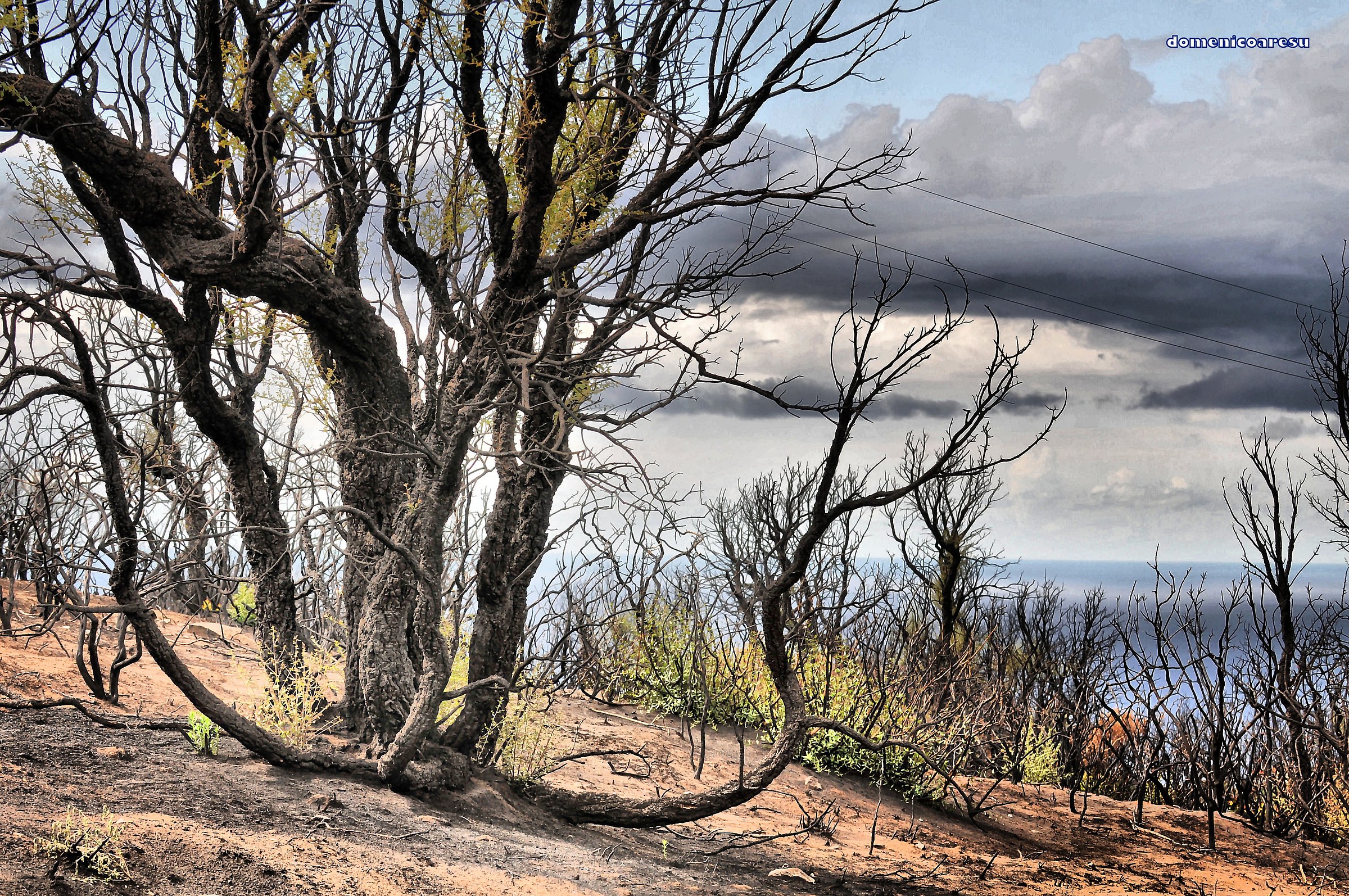 Sardegna la mia Terra