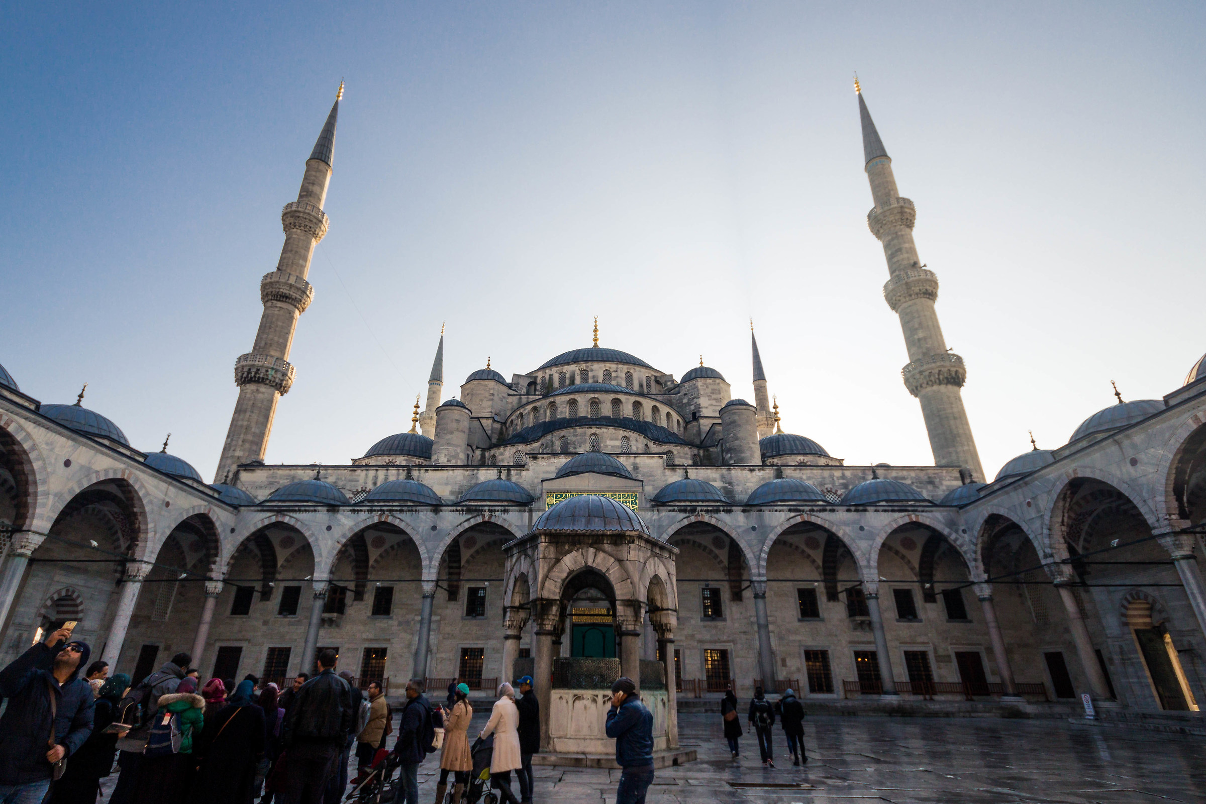 Blue flies outside at wide