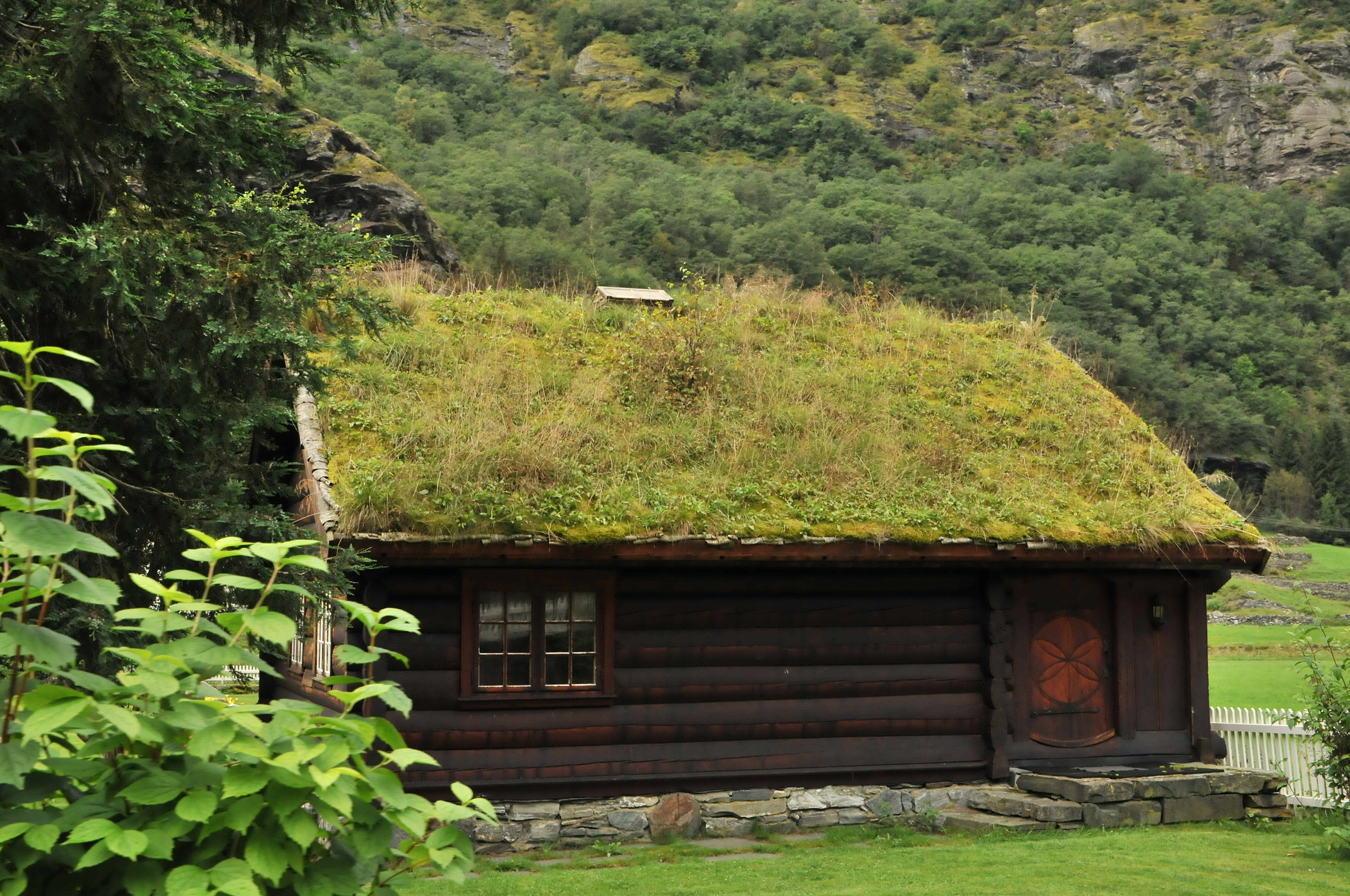 the lawn in the head