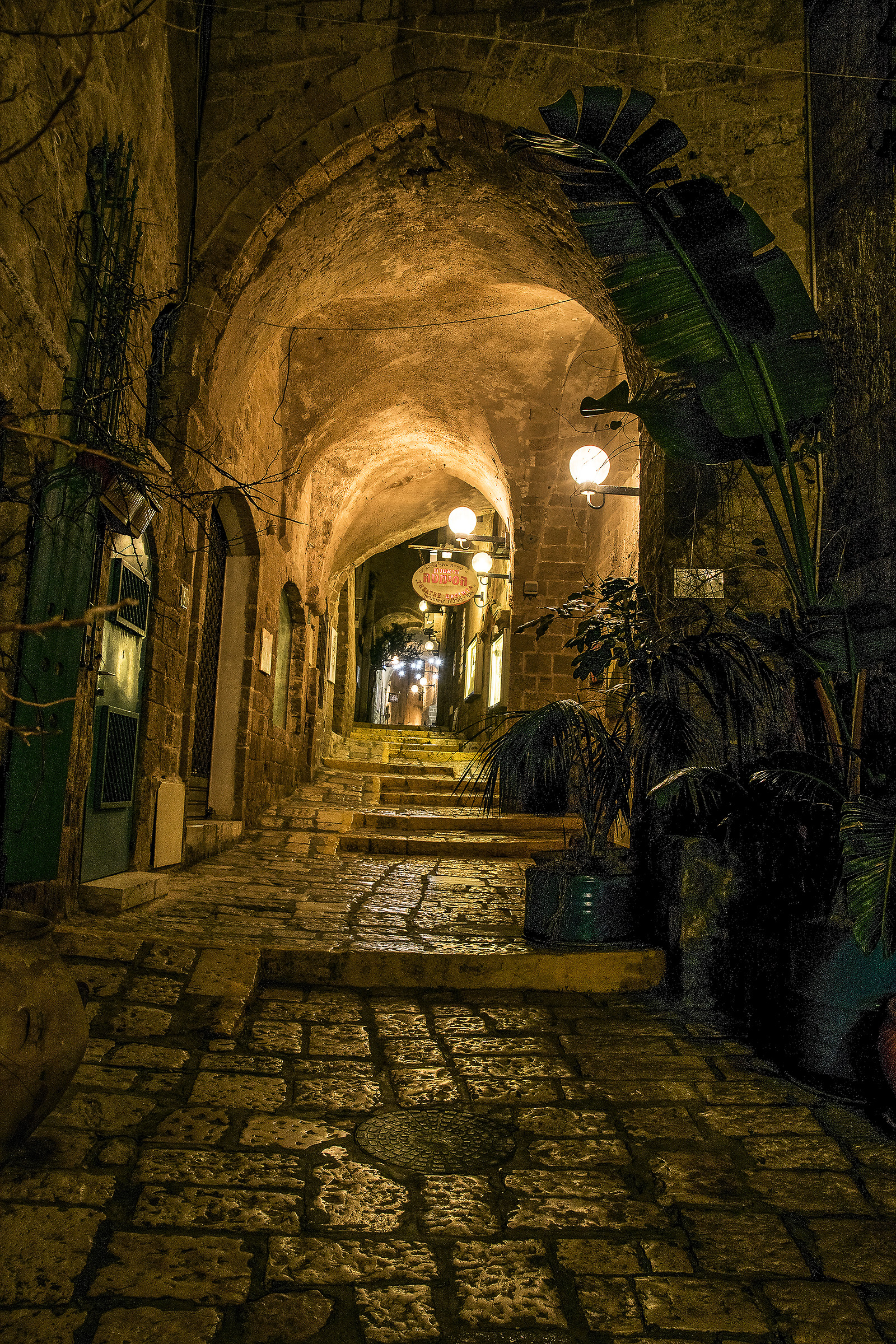 In the alleys of Jaffa