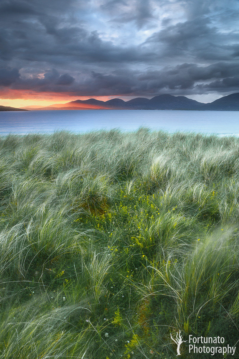 L'ultimo Raggio di Luce