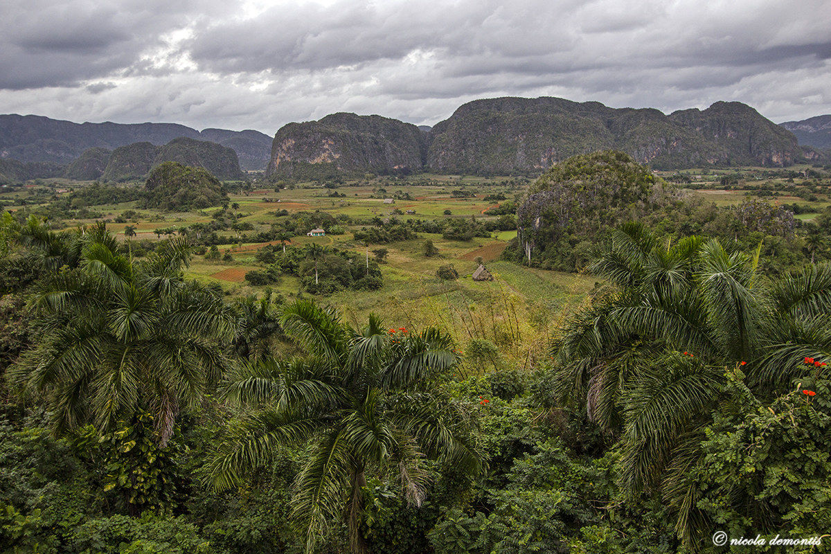Vinales Mogotes