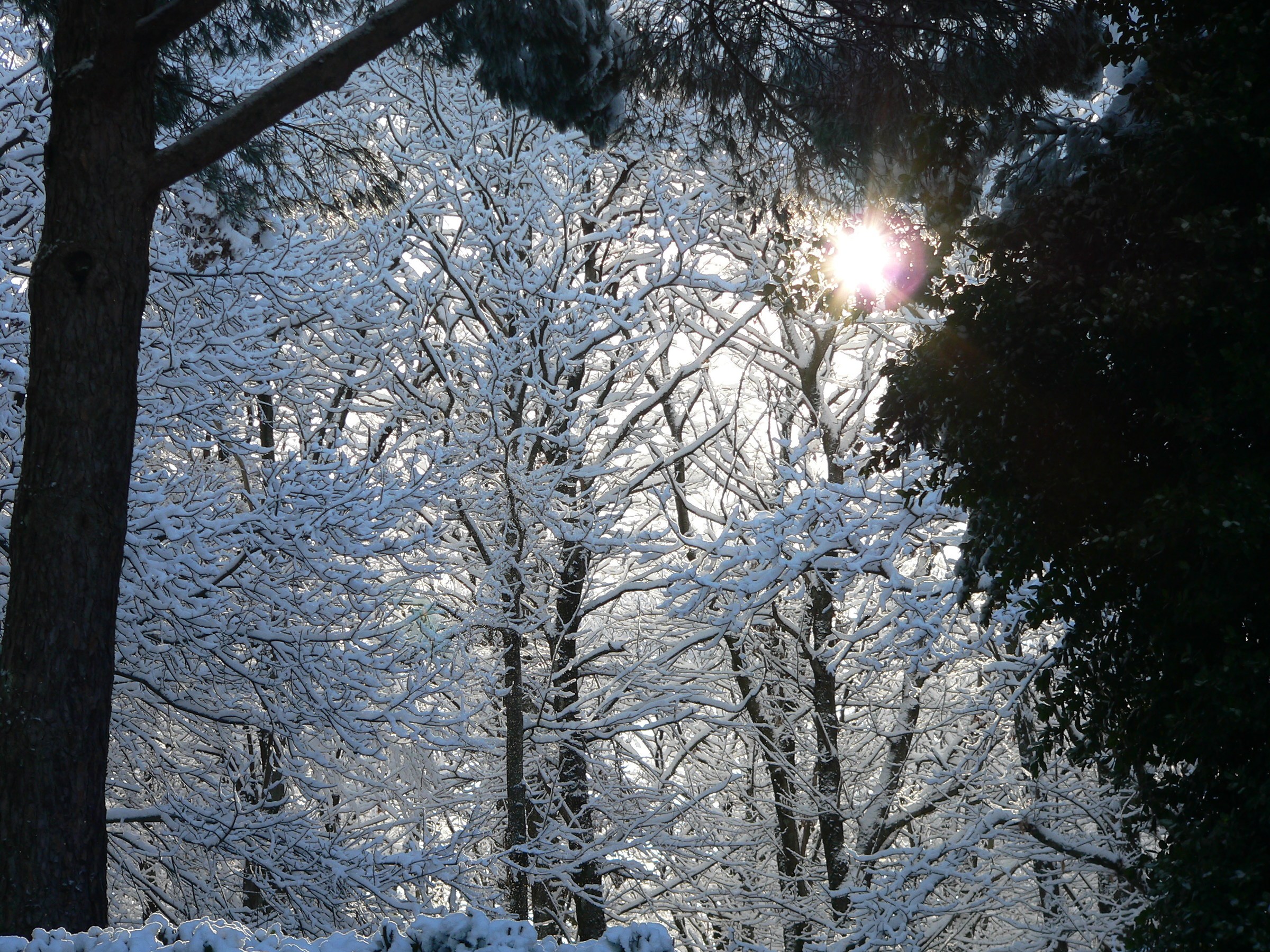 Finialmente a bit 'of snow