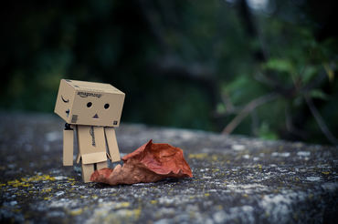 Danbo