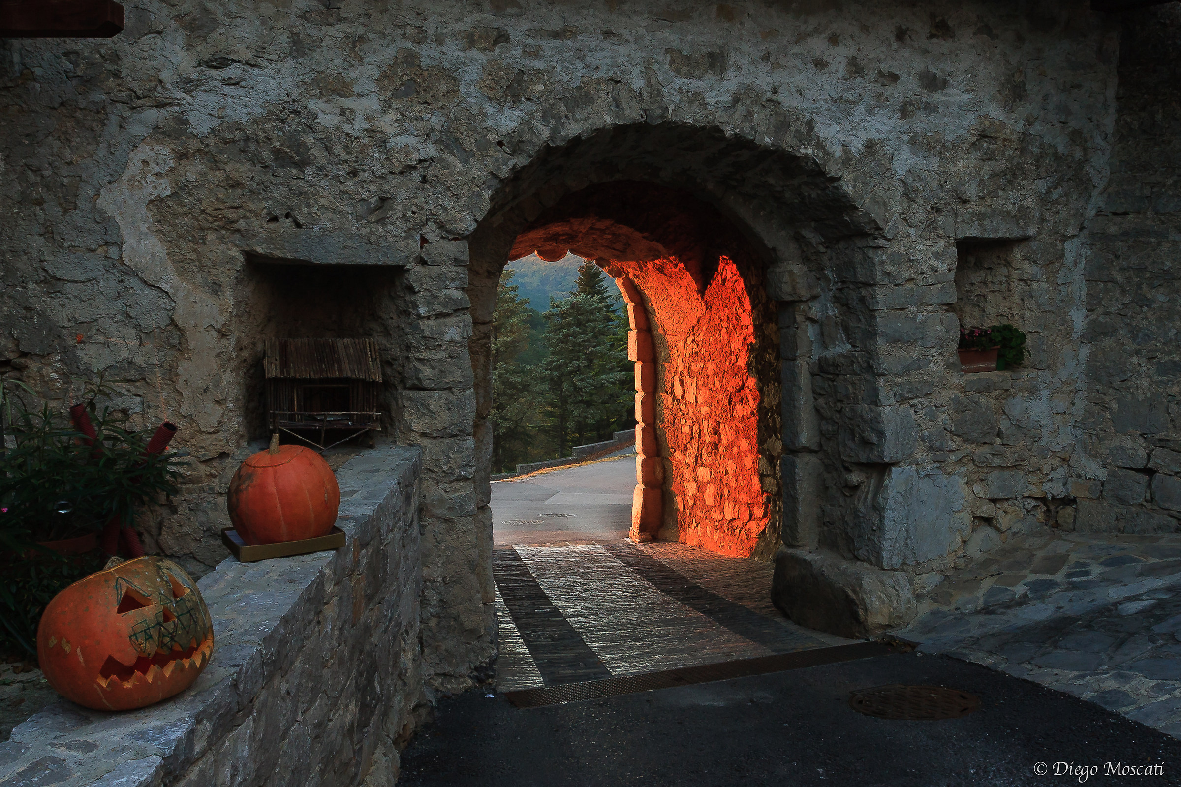 San Daniele del Carso in Novembre