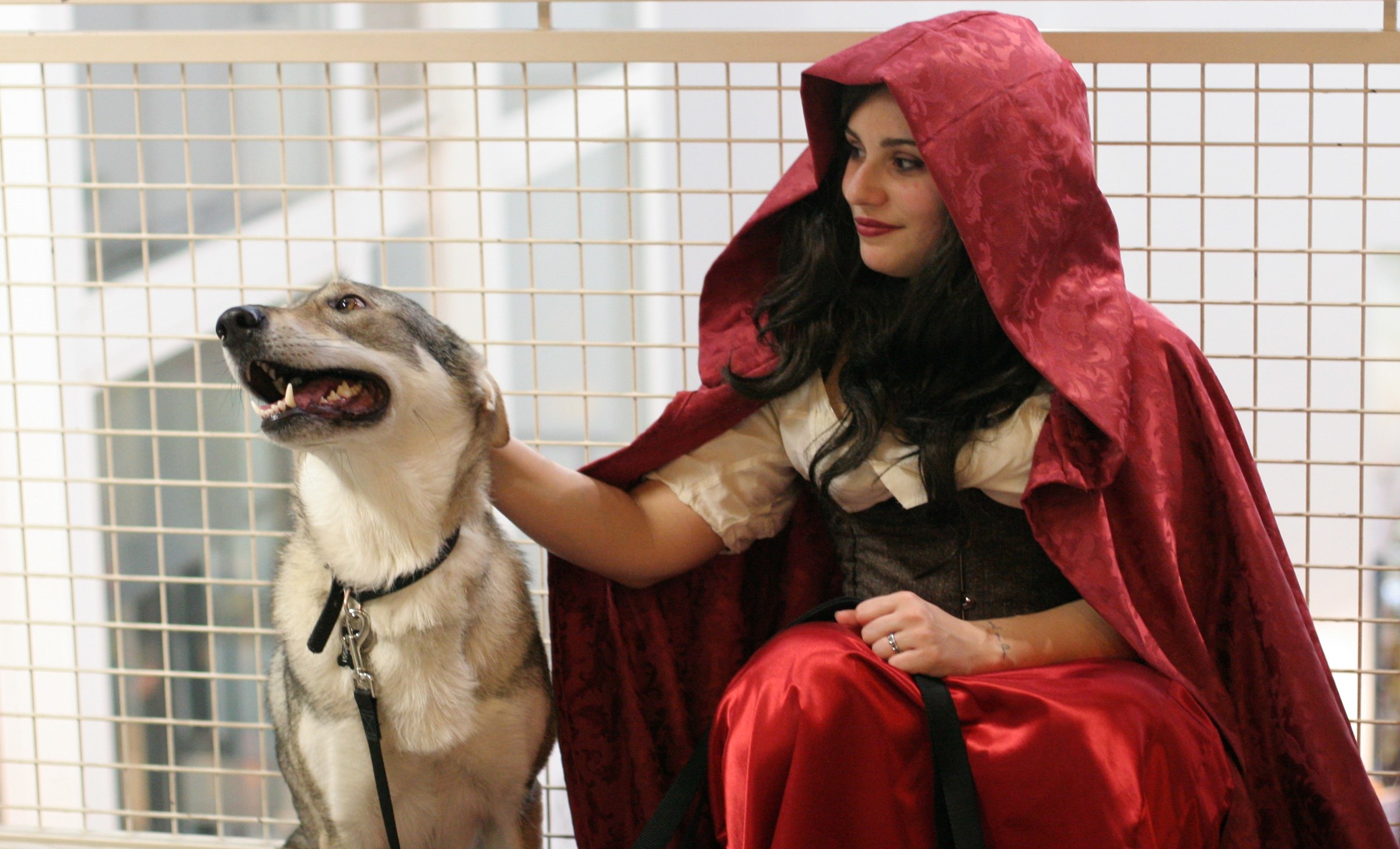 Riding Hood and the Wolf ... Czechoslovakian