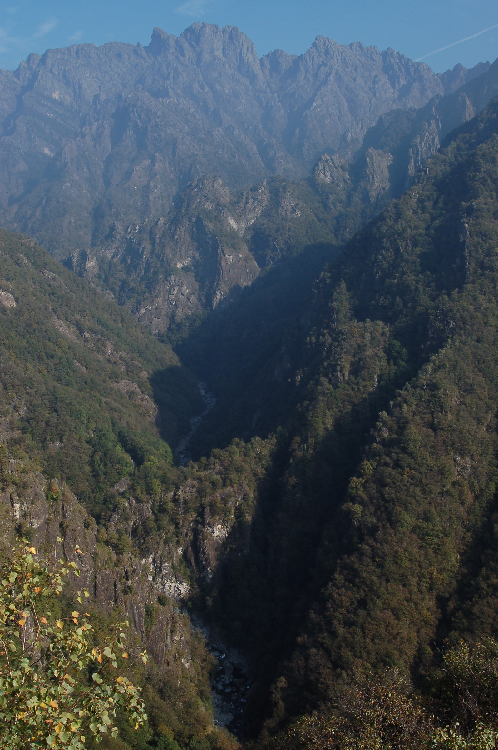 The total reserve of Pedum